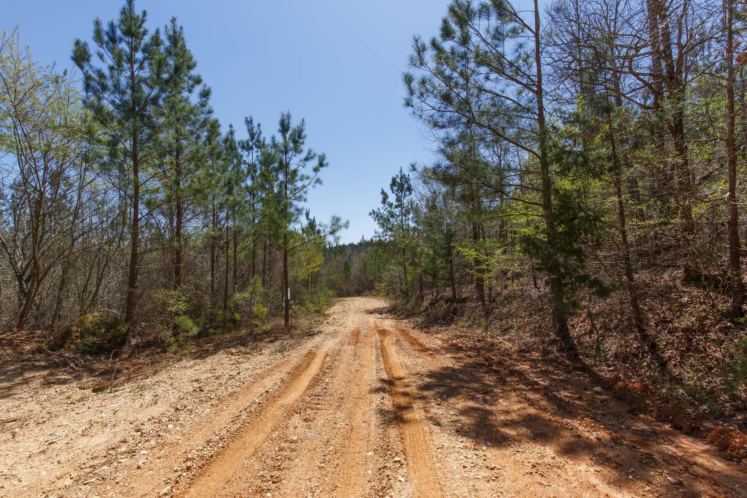 Southern Hills Tract 15 photo 7