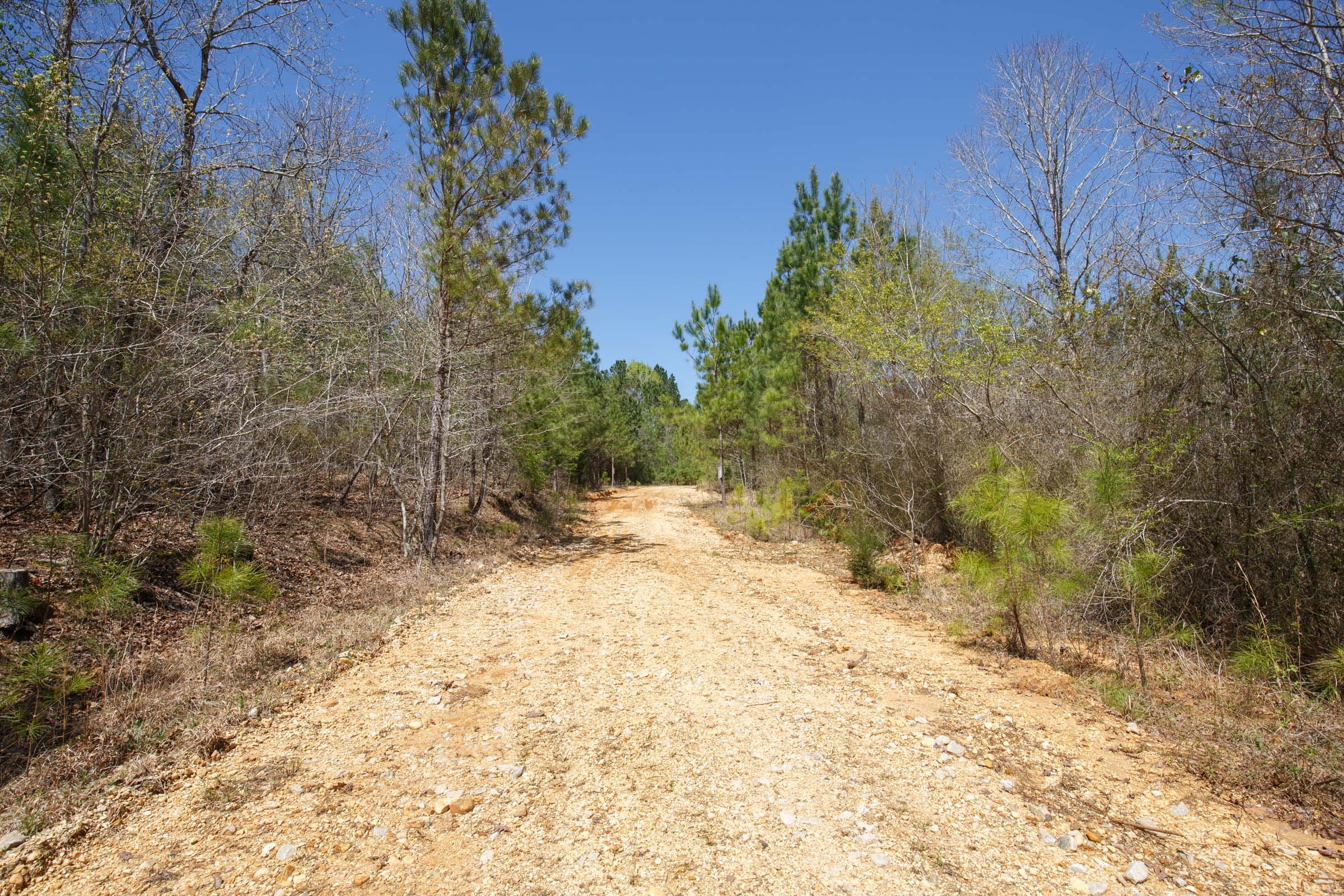 Southern Hills Tract 15 photo 9
