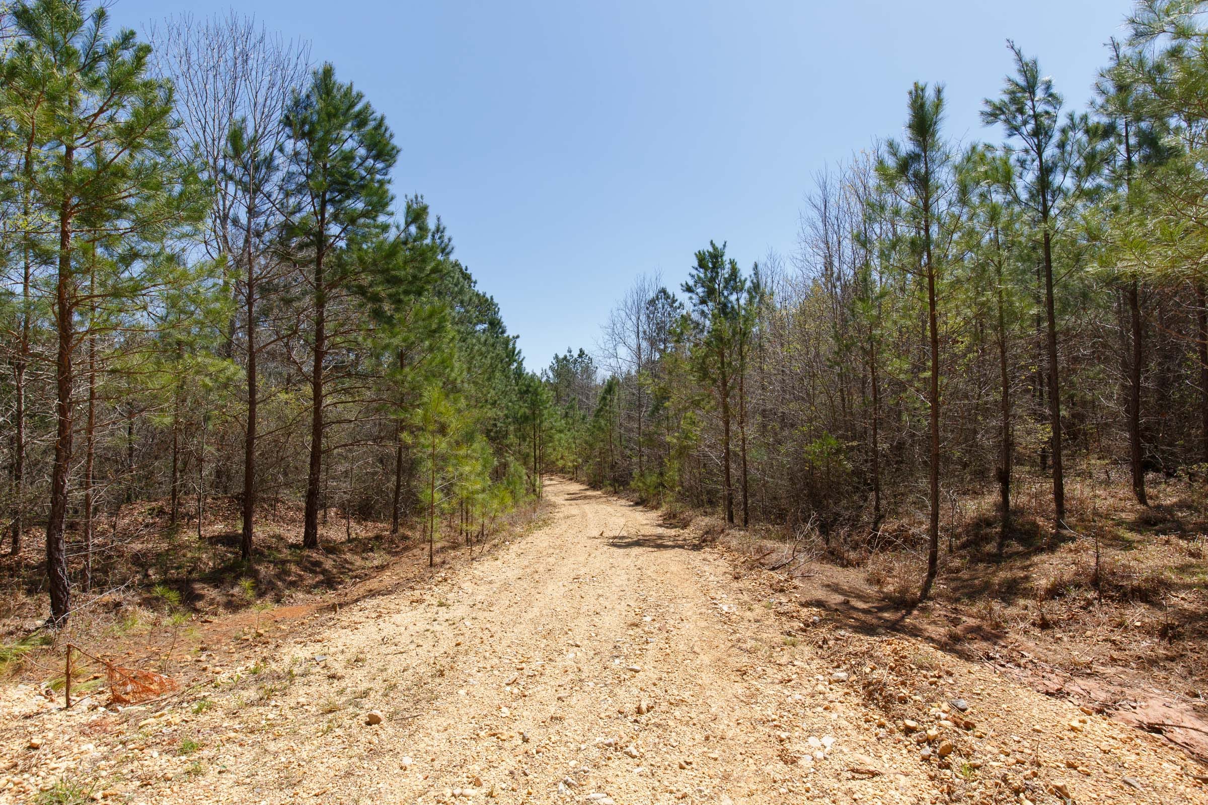 Southern Hills Tract 15 photo 13
