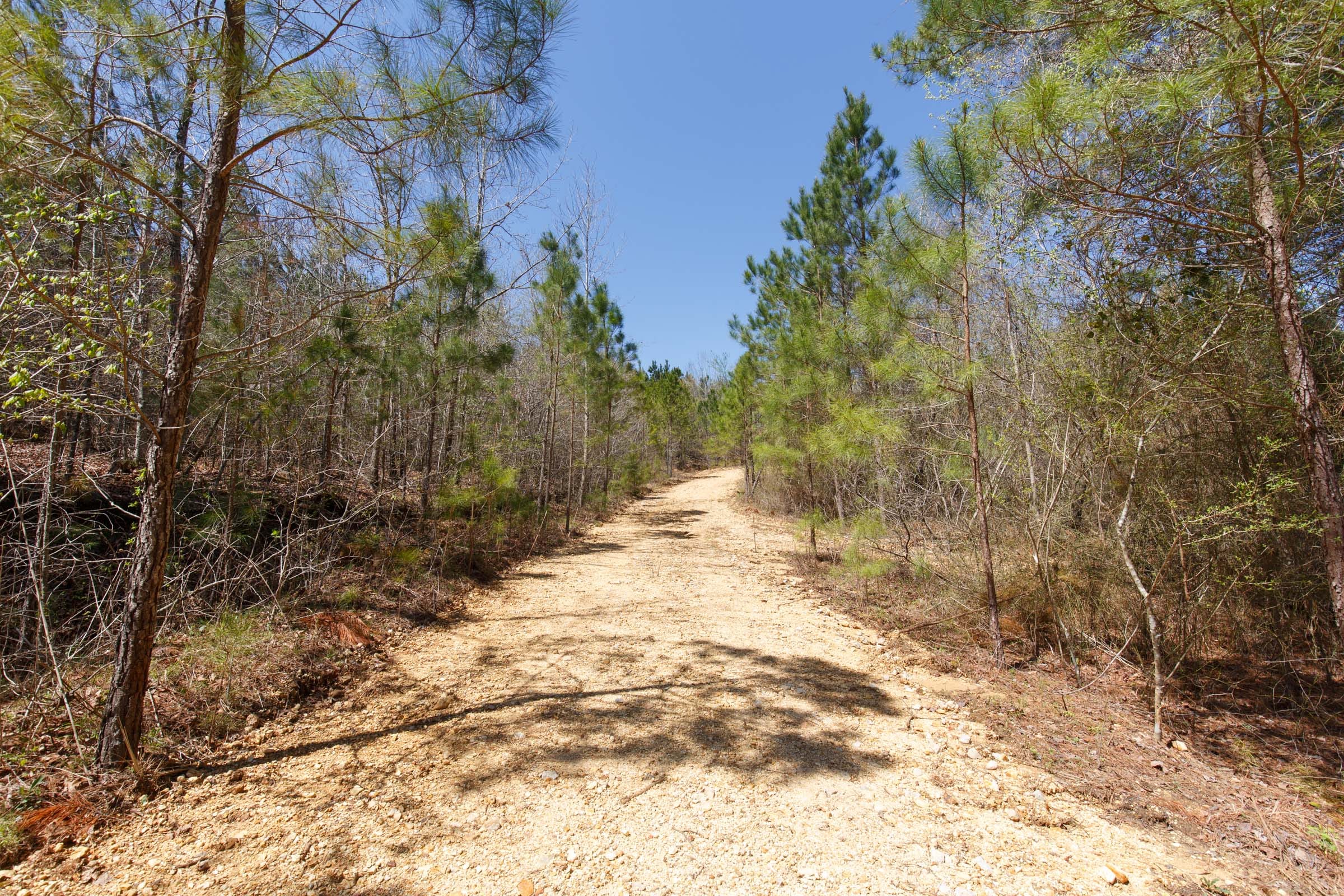 Southern Hills Tract 15 photo 15