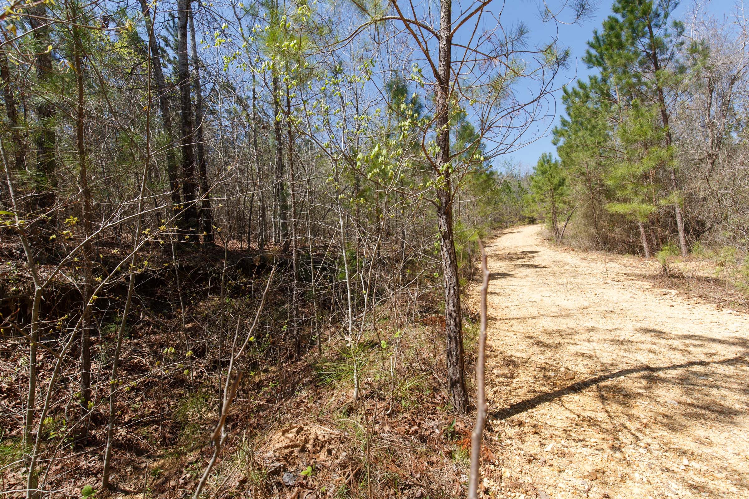 Southern Hills Tract 15 photo 17