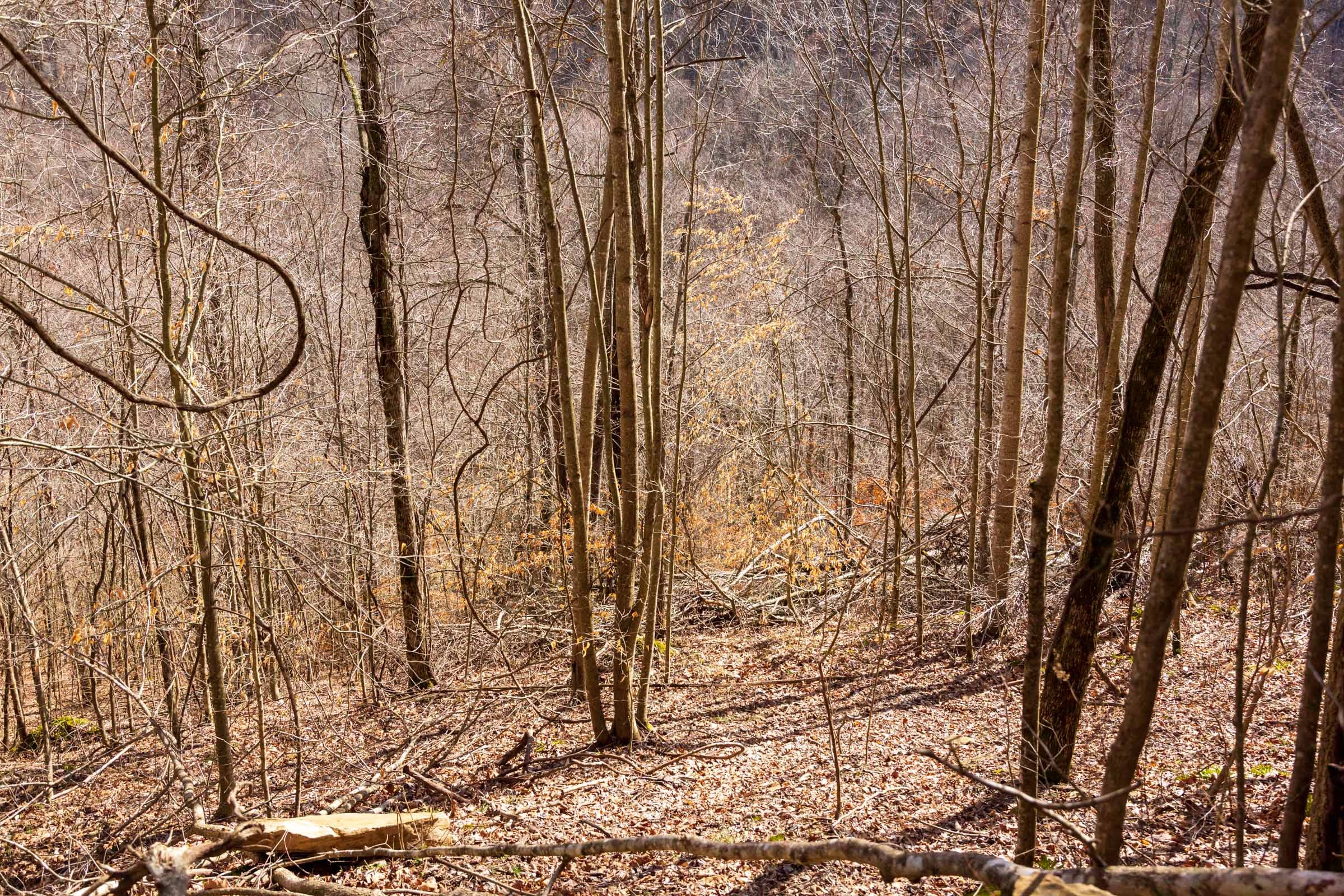 Blackstone Mountain Phase II Tract 83 photo 2