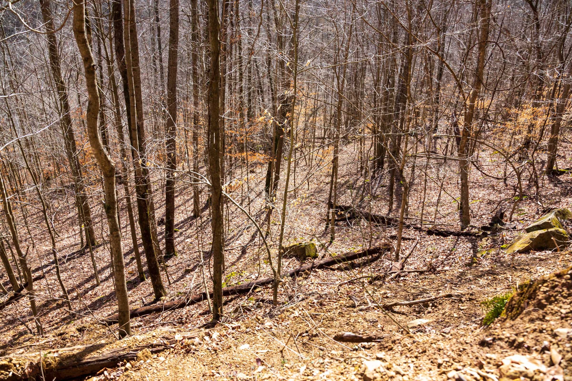 Blackstone Mountain Phase II Tract 83 photo 3