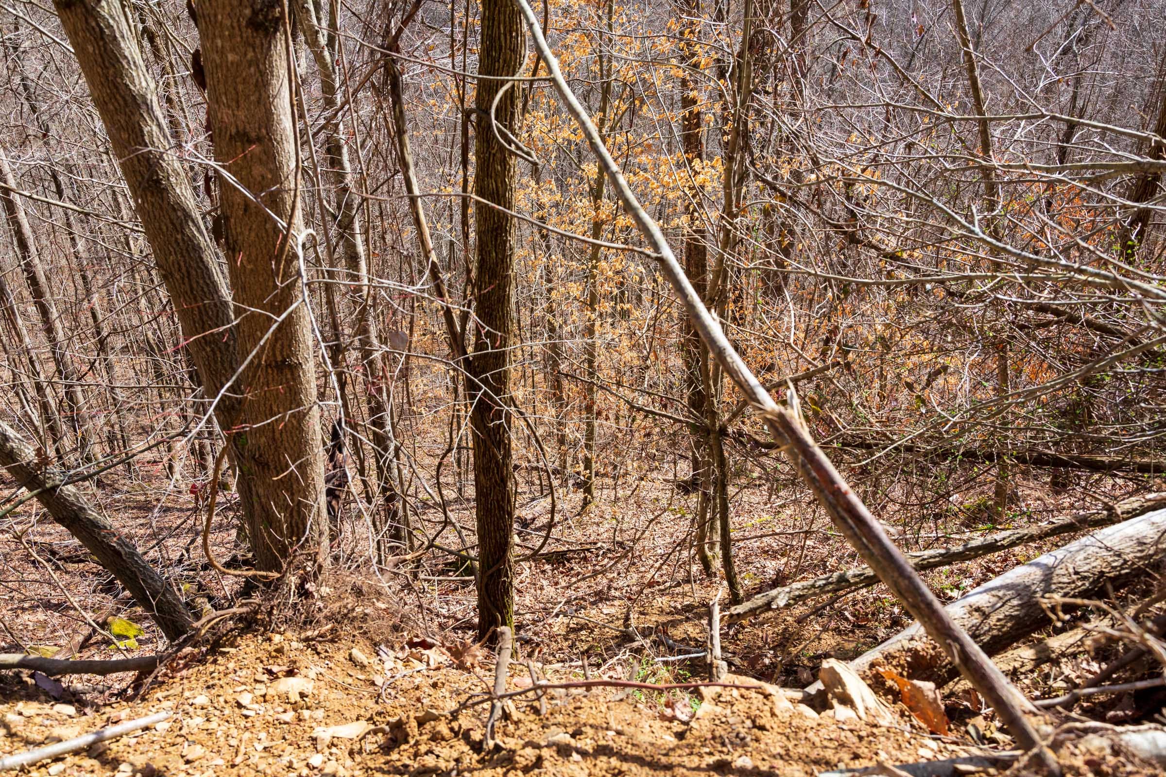 Blackstone Mountain Phase II Tract 83 photo 4