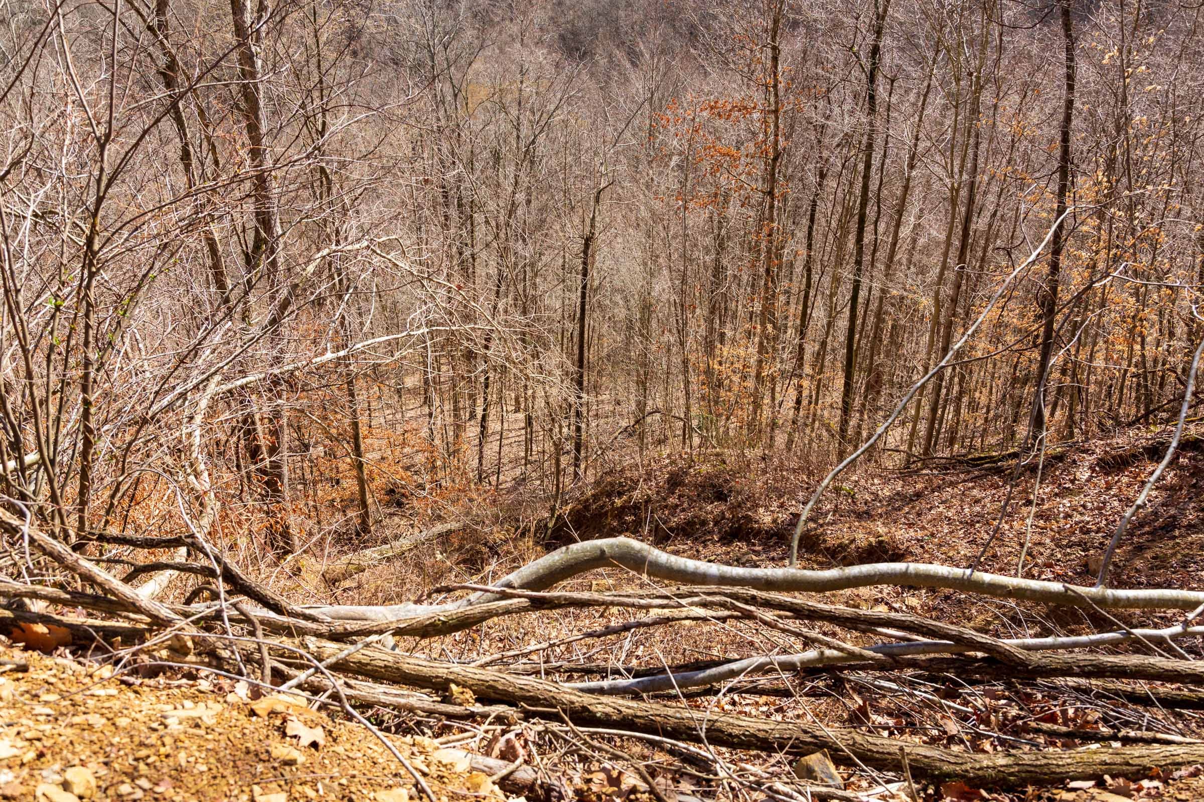 Blackstone Mountain Phase II Tract 83 photo 6