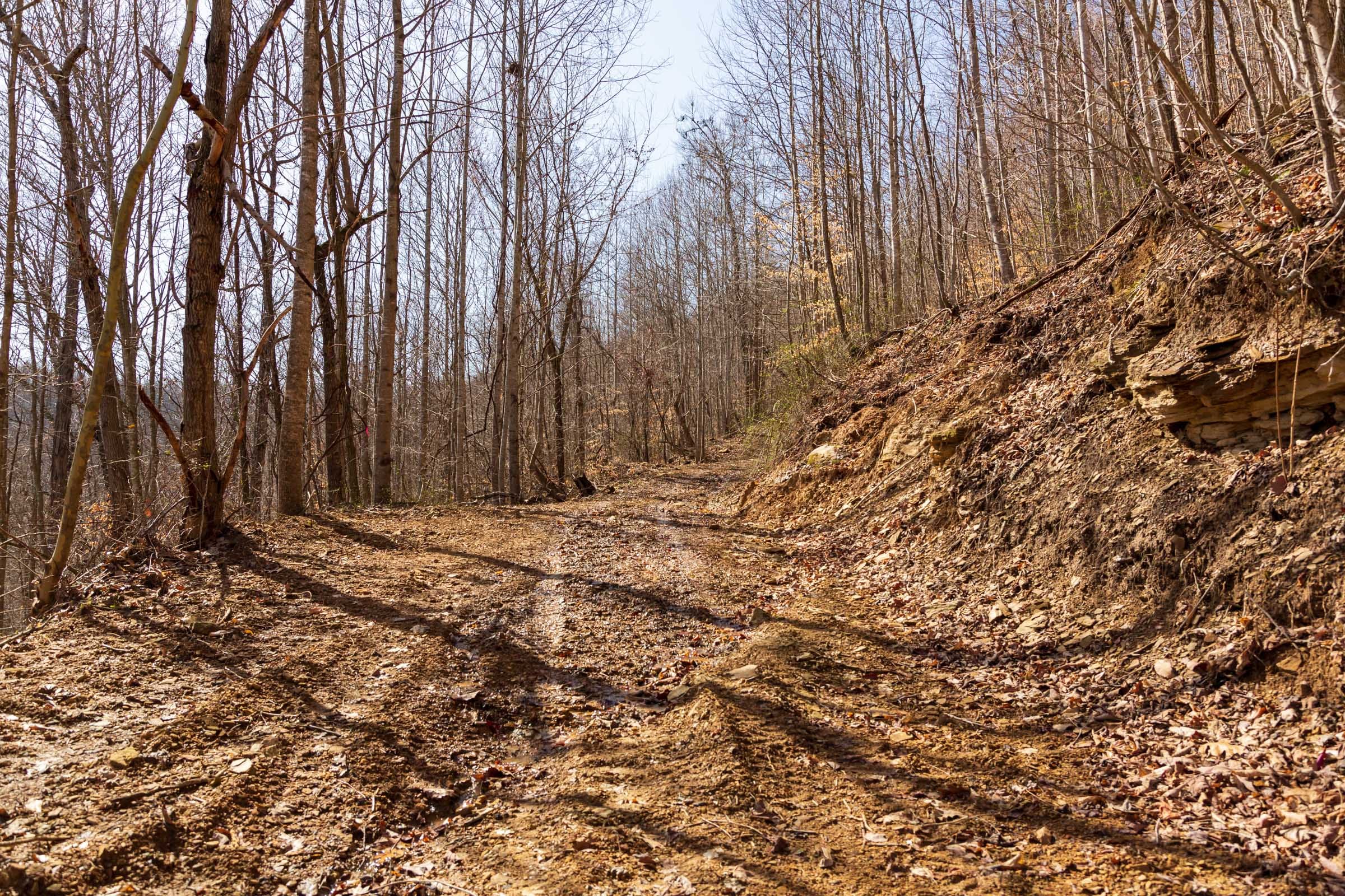 Blackstone Mountain Phase II Tract 83 photo 5