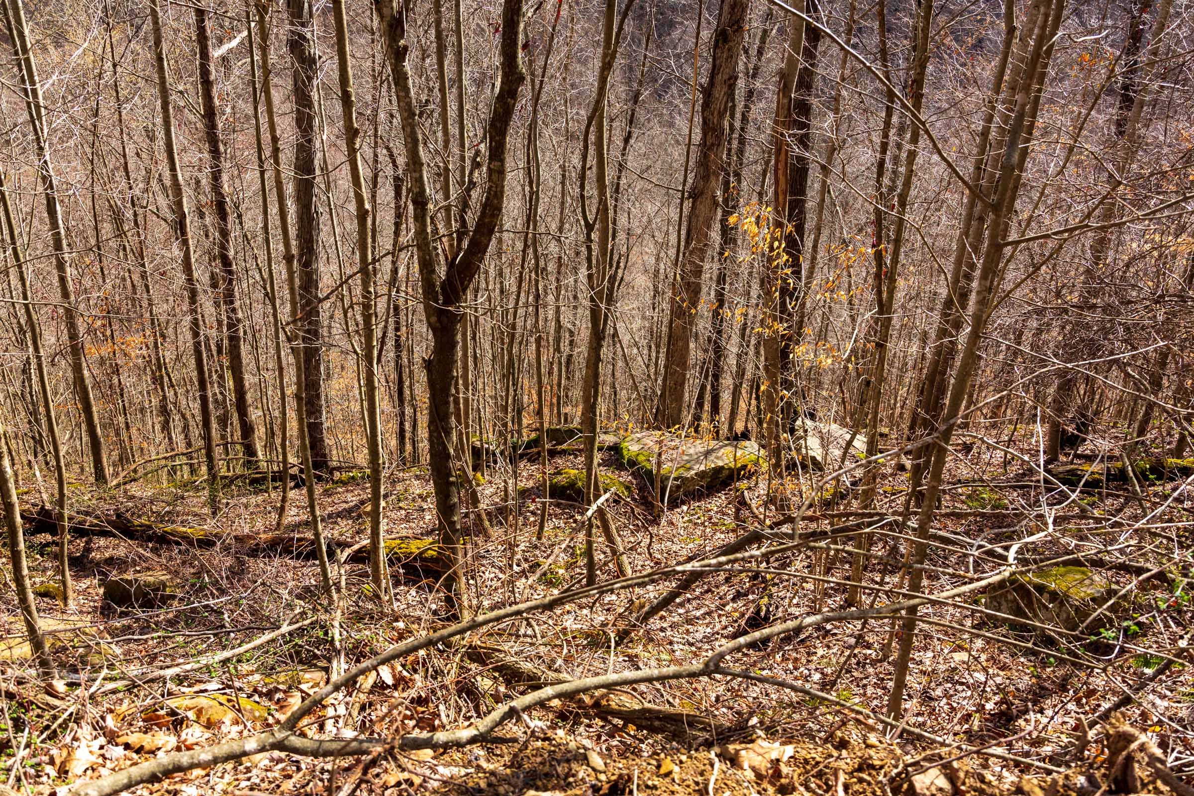 Blackstone Mountain Phase II Tract 83 photo 8