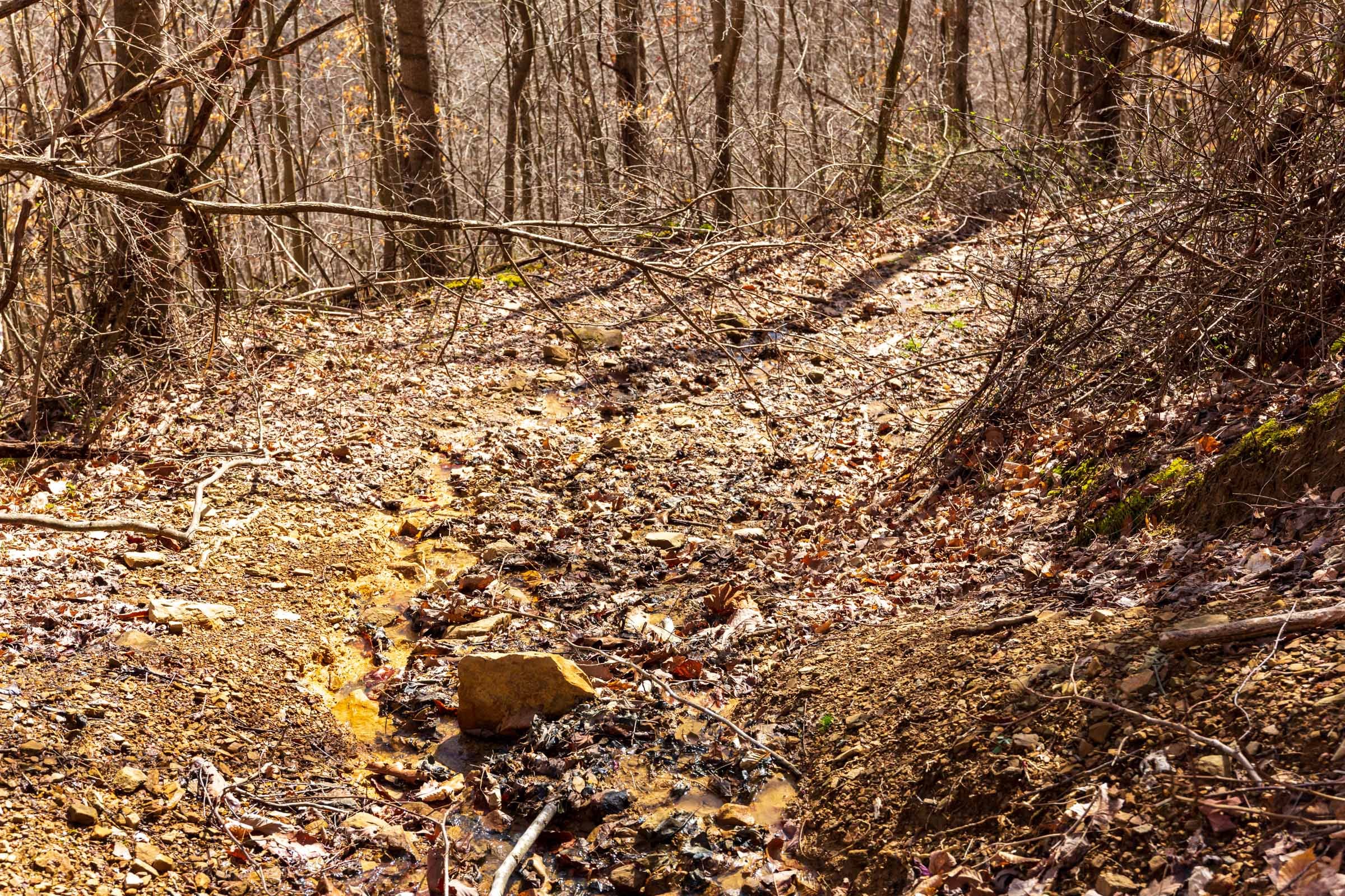 Blackstone Mountain Phase II Tract 83 photo 9