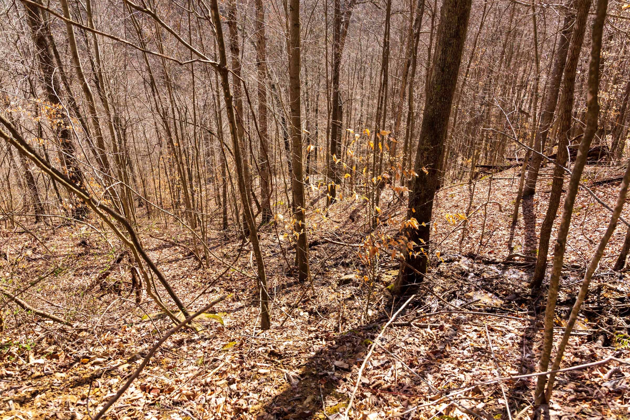 Blackstone Mountain Phase II Tract 83 photo 10
