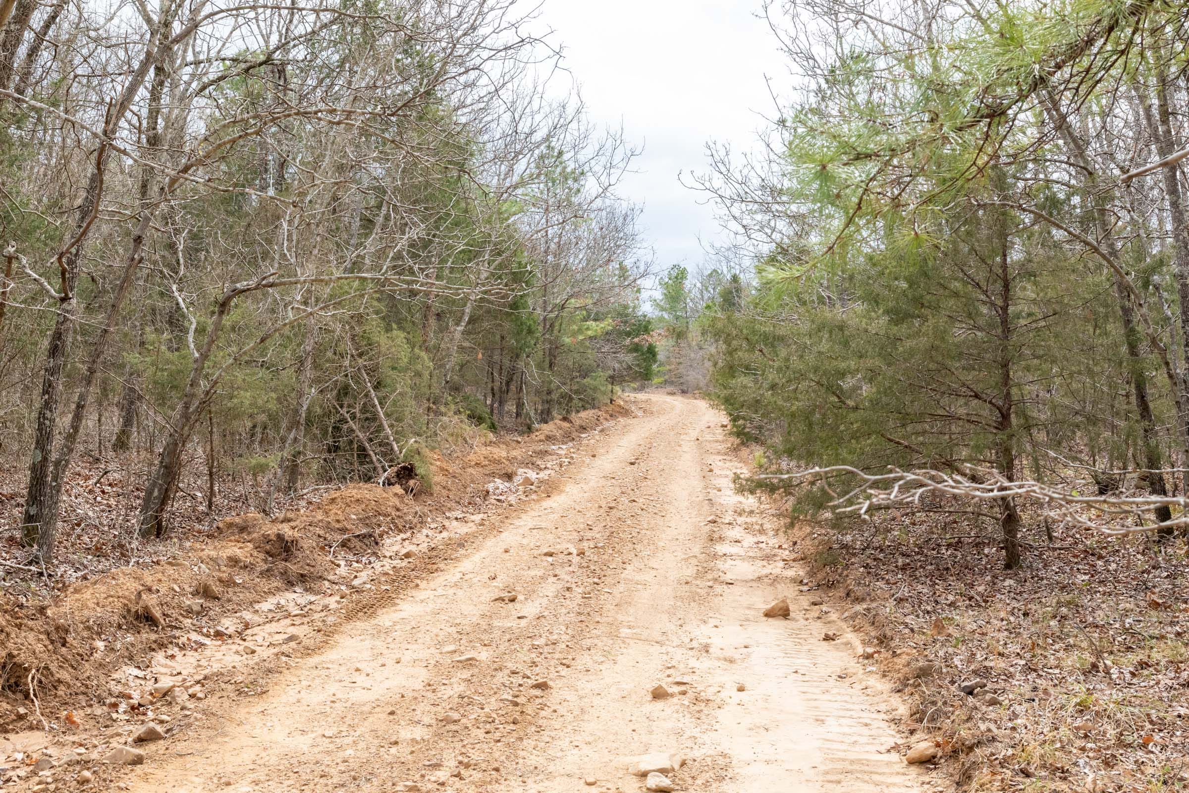 Stone Bridge Phase III Tract 160 photo 3