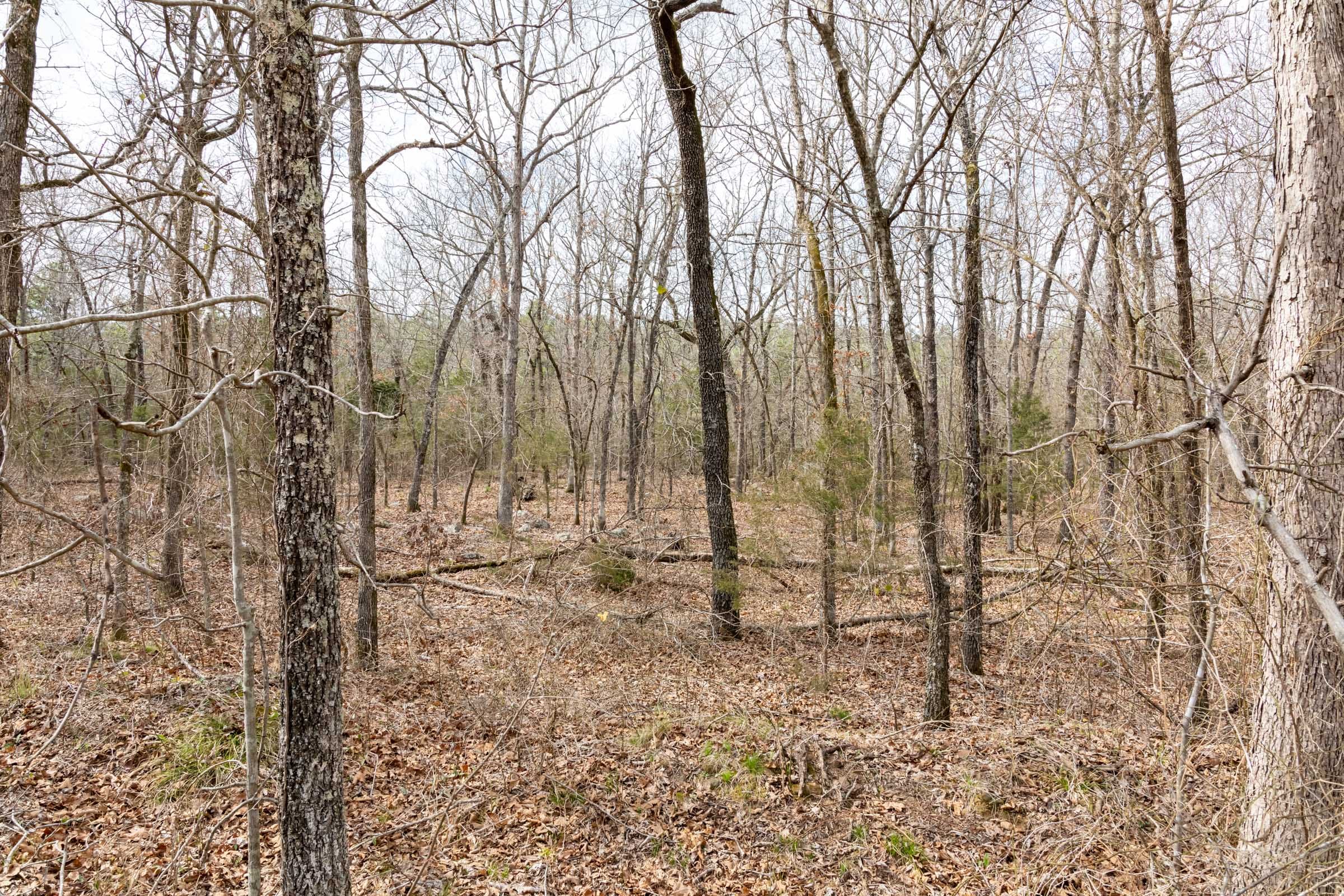 Stone Bridge Phase III Tract 160 photo 6