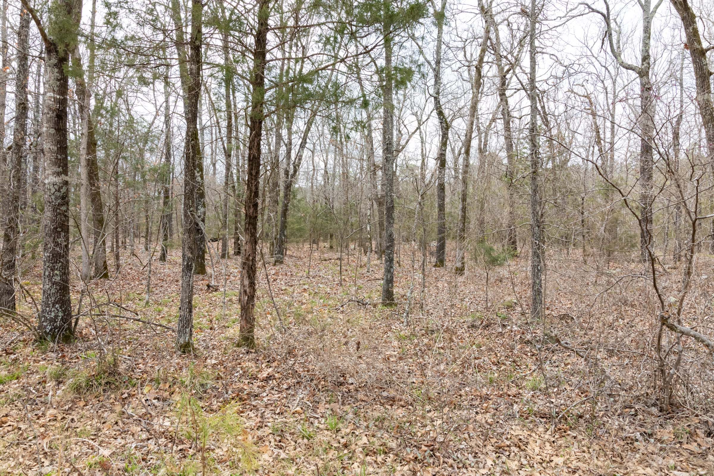 Stone Bridge Phase III Tract 160 photo 8