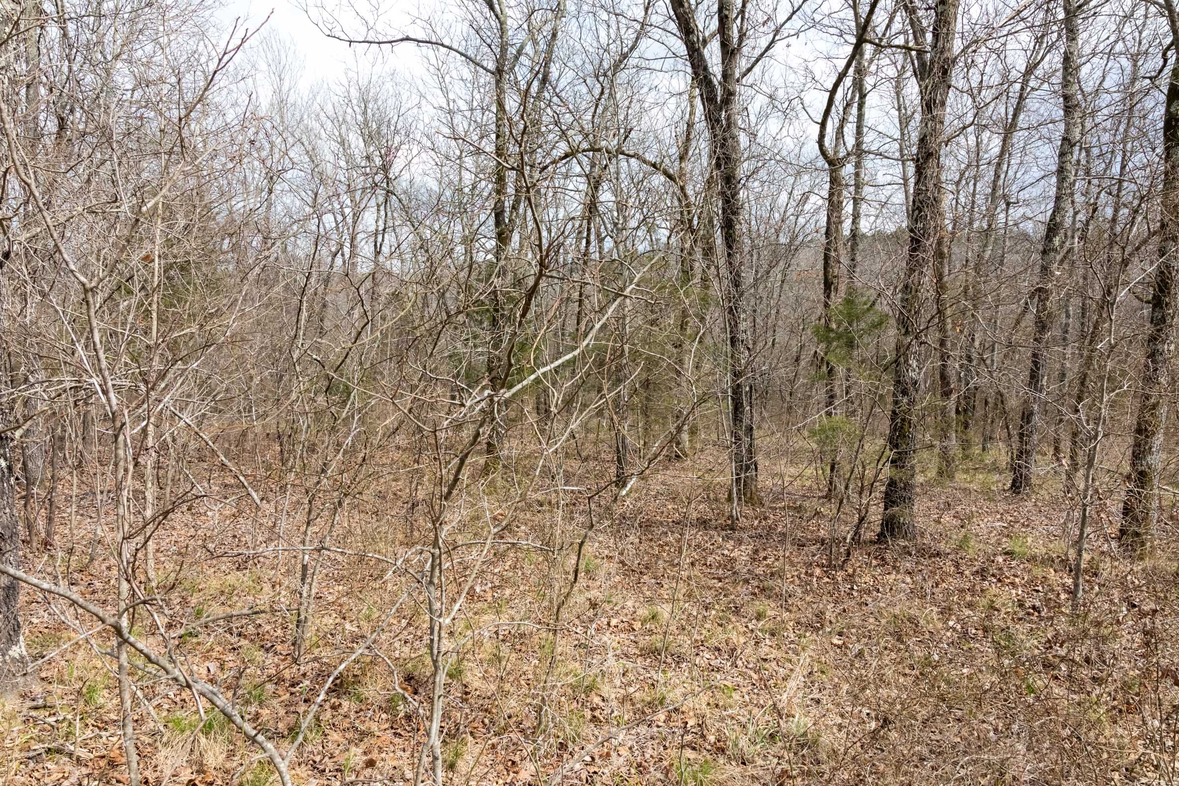 Stone Bridge Phase III Tract 160 photo 10