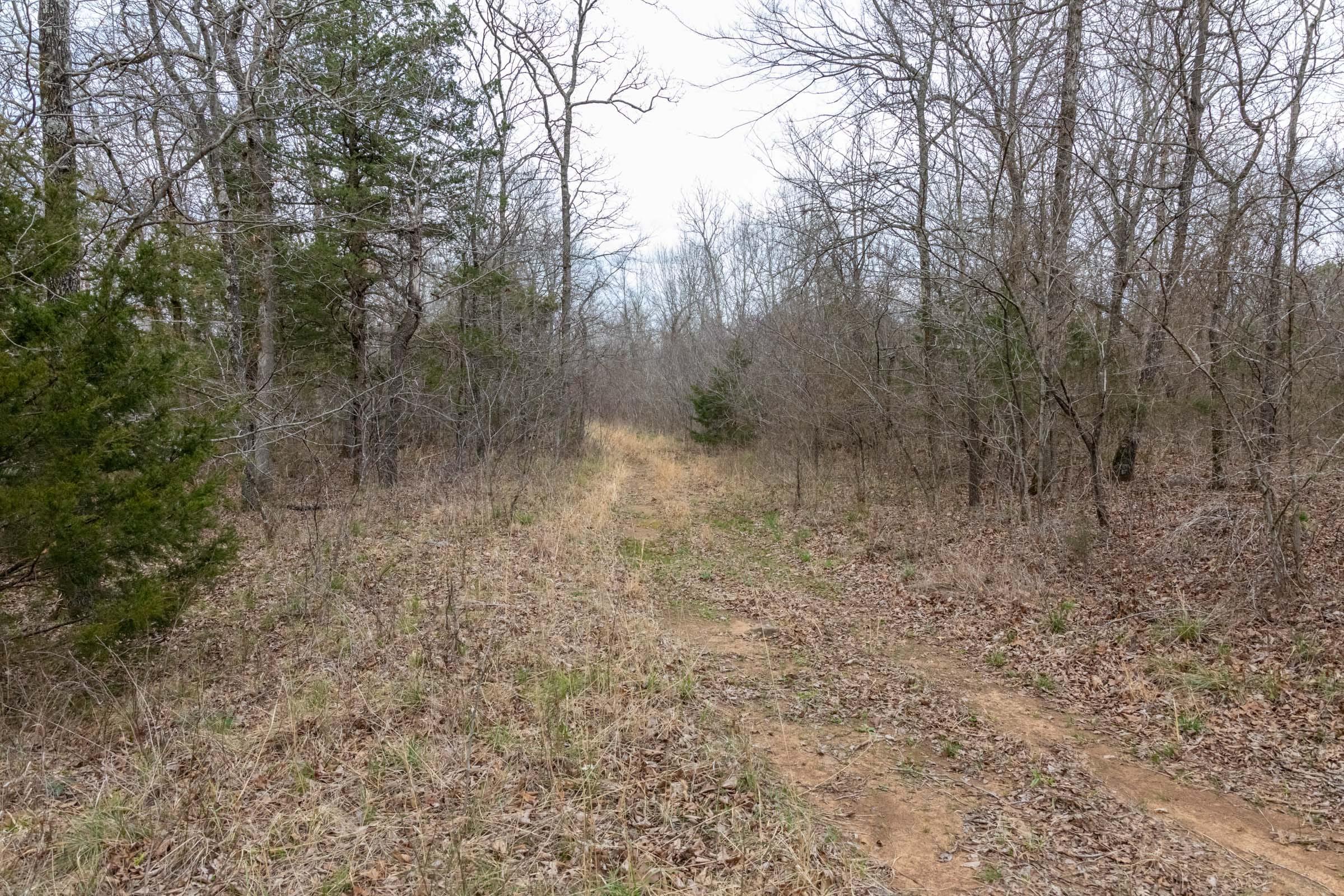 Stone Bridge Phase III Tract 160 photo 11