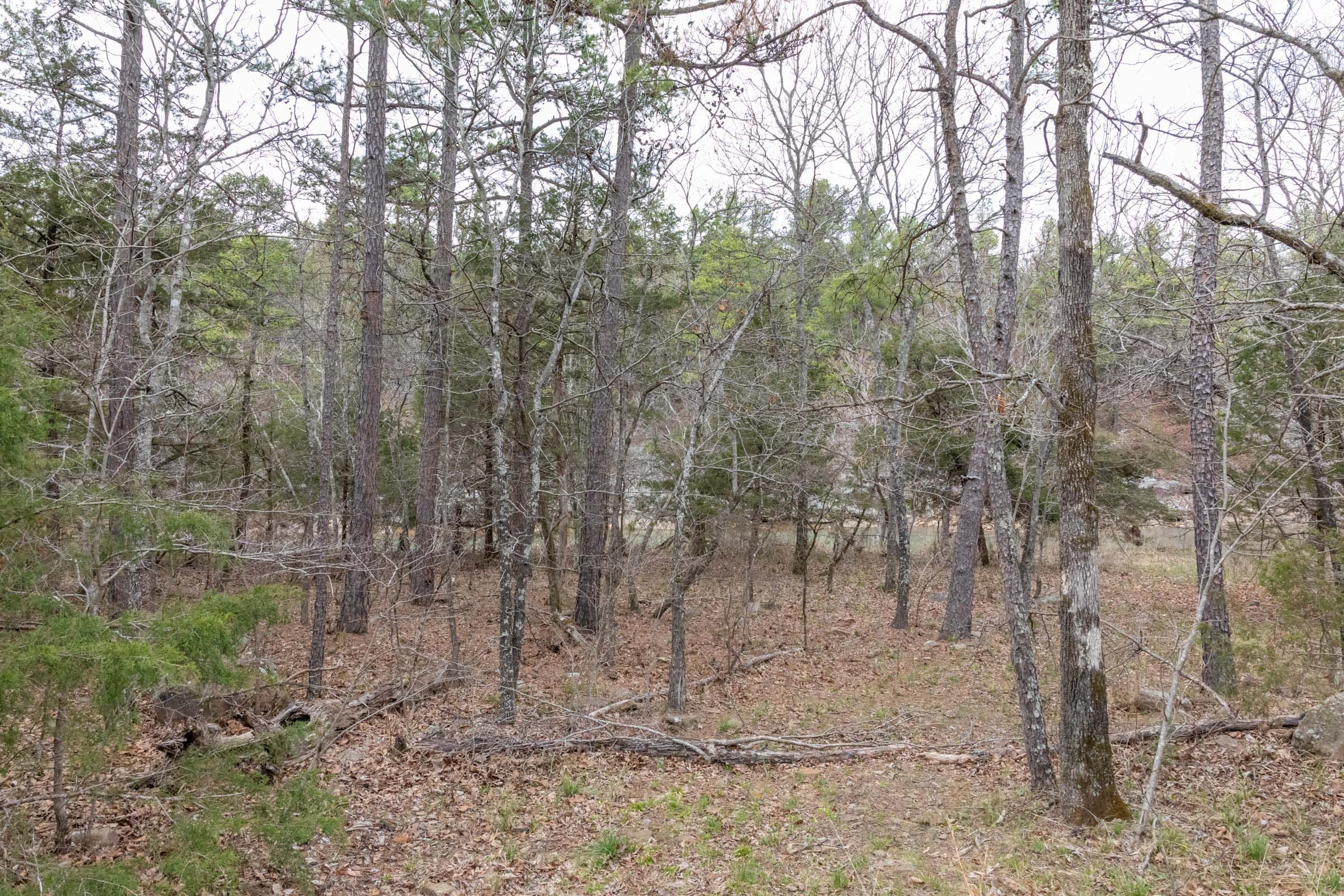 Stone Bridge Phase III Tract 160 photo 12