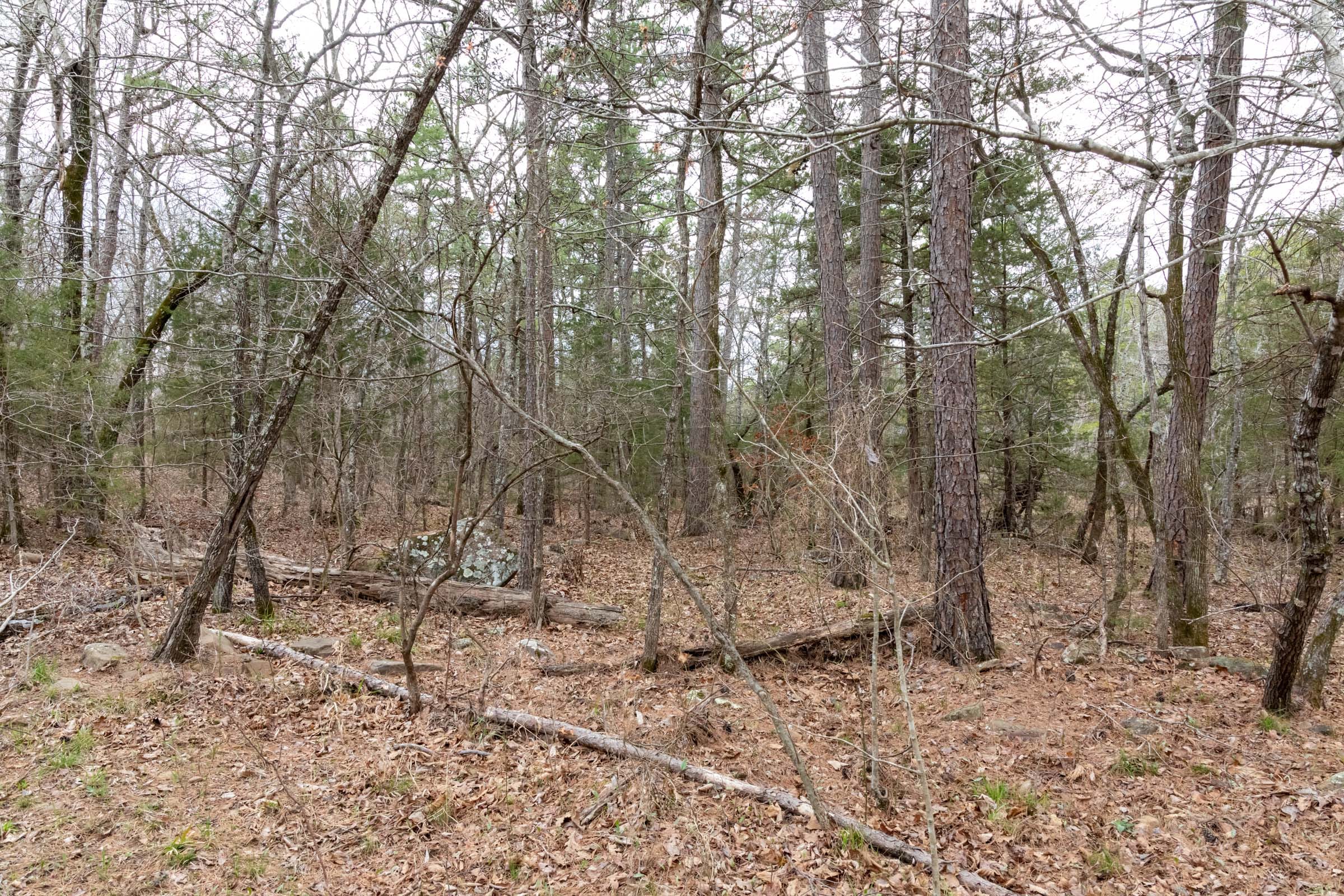 Stone Bridge Phase III Tract 160 photo 13