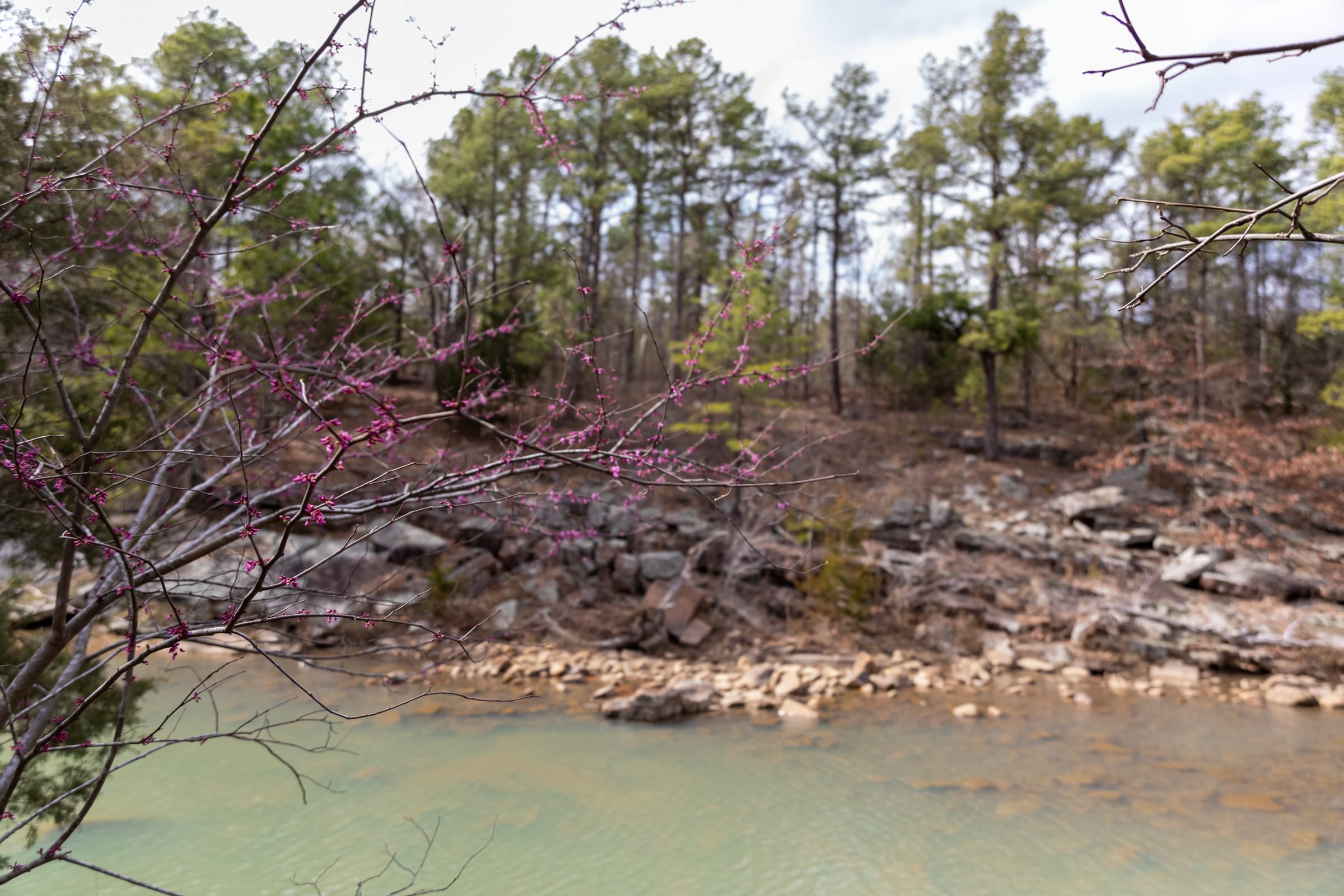 Stone Bridge Phase III Tract 160 photo 17