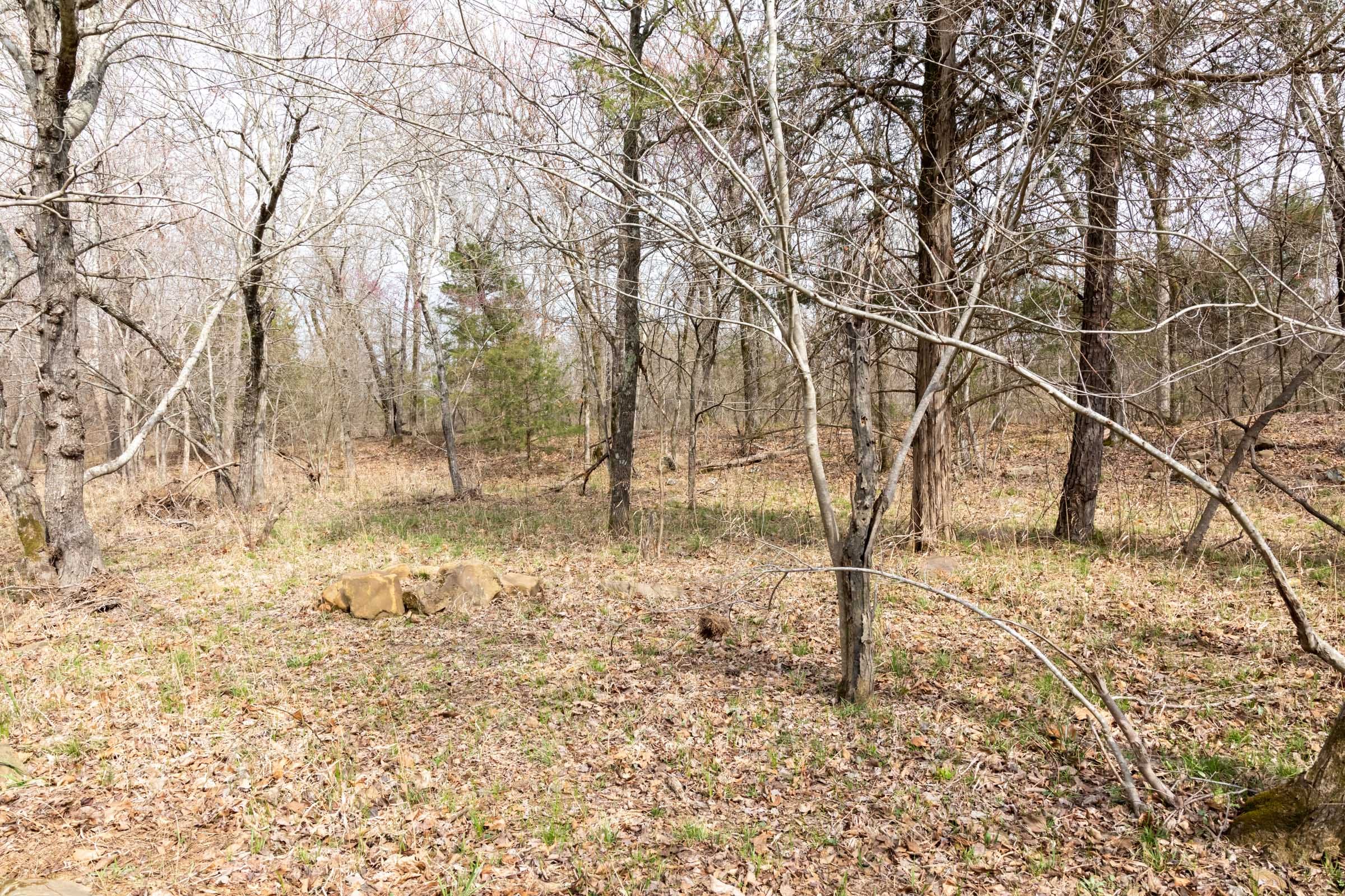 Stone Bridge Phase III Tract 160 photo 18