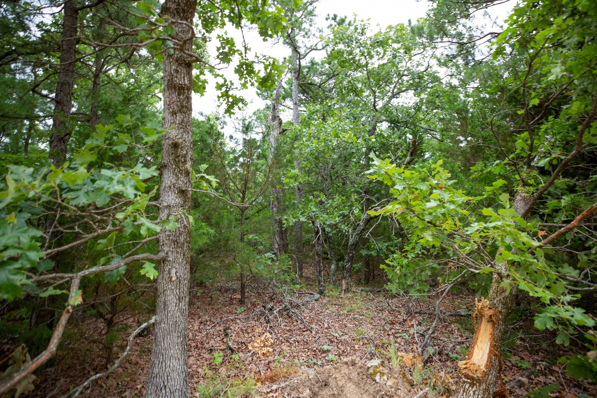 Eagle’s Nest Tract 70 photo 2