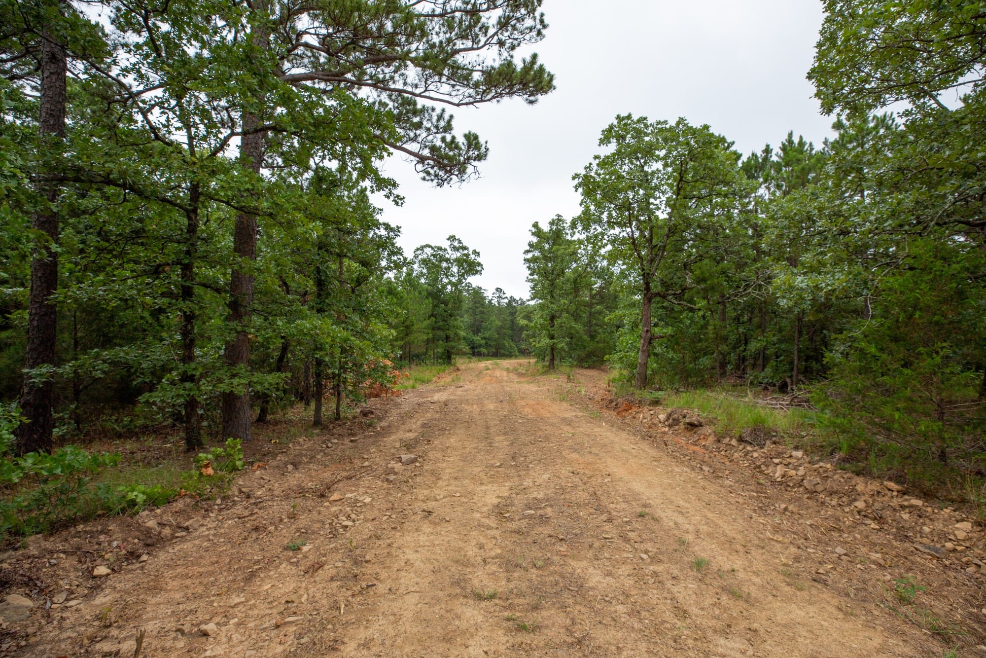 Eagle’s Nest Tract 70 photo 1