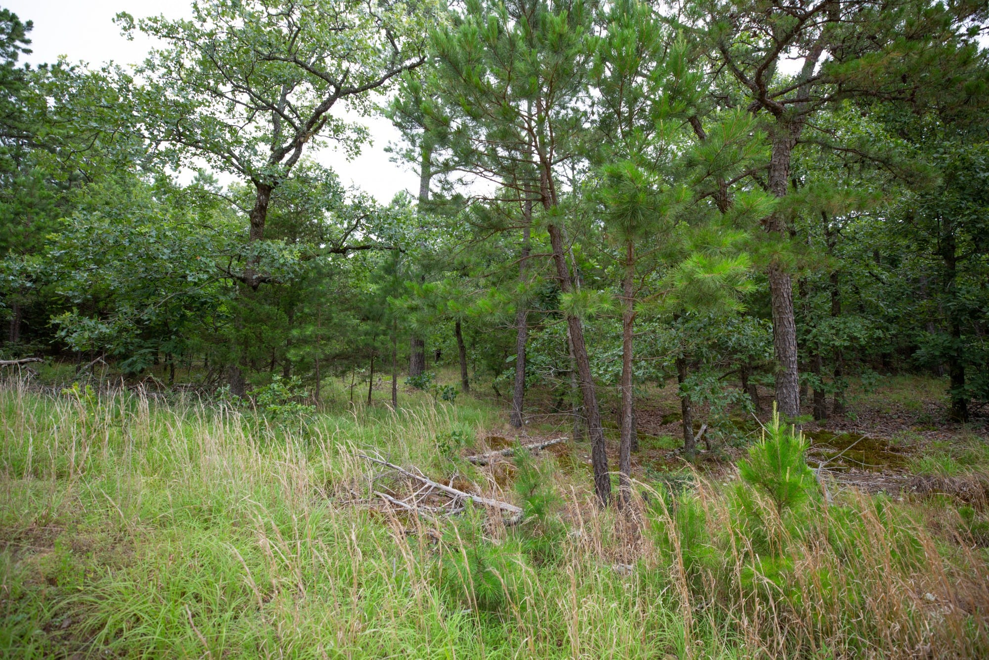 Eagle’s Nest Tract 70 photo 10