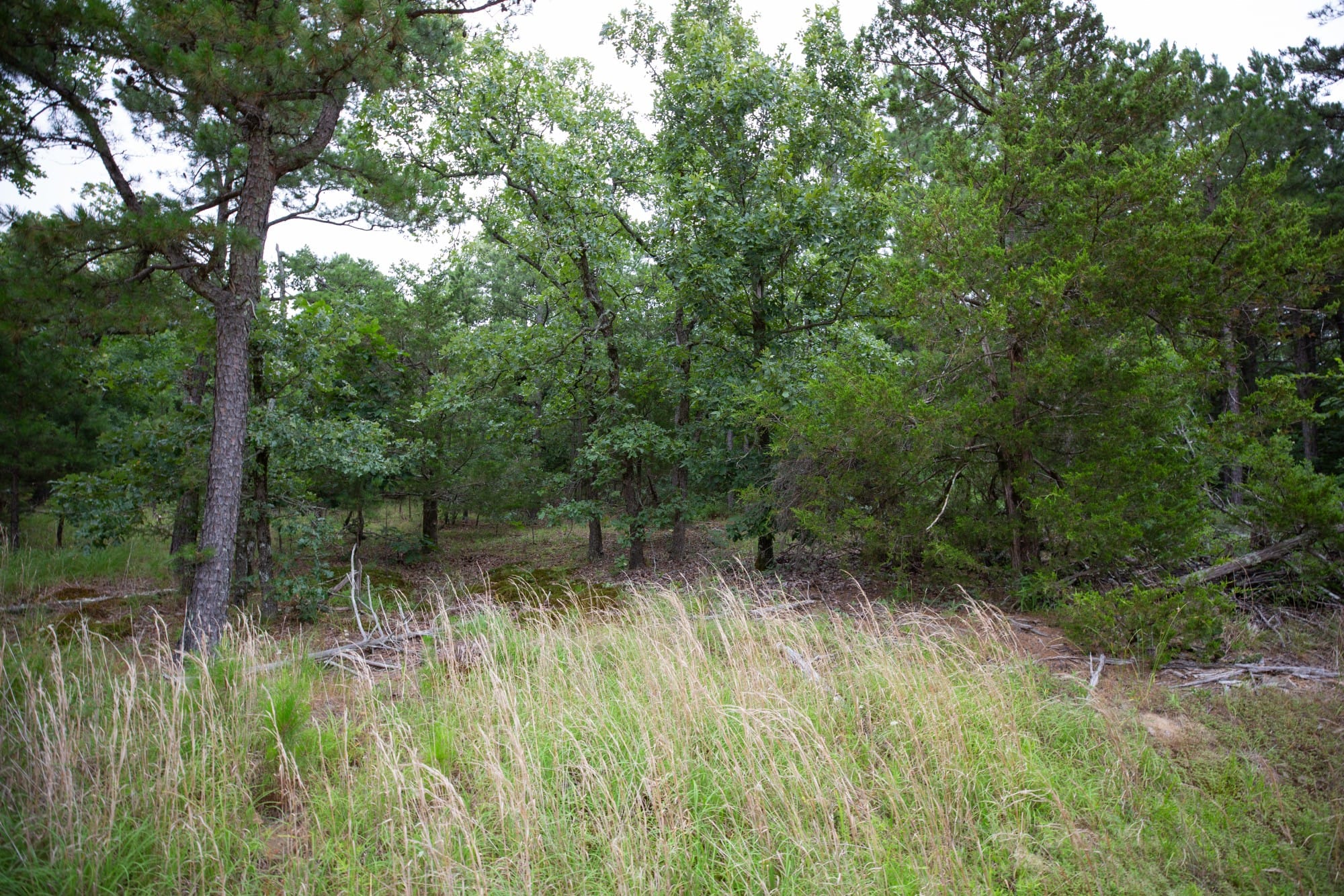 Eagle’s Nest Tract 70 photo 11