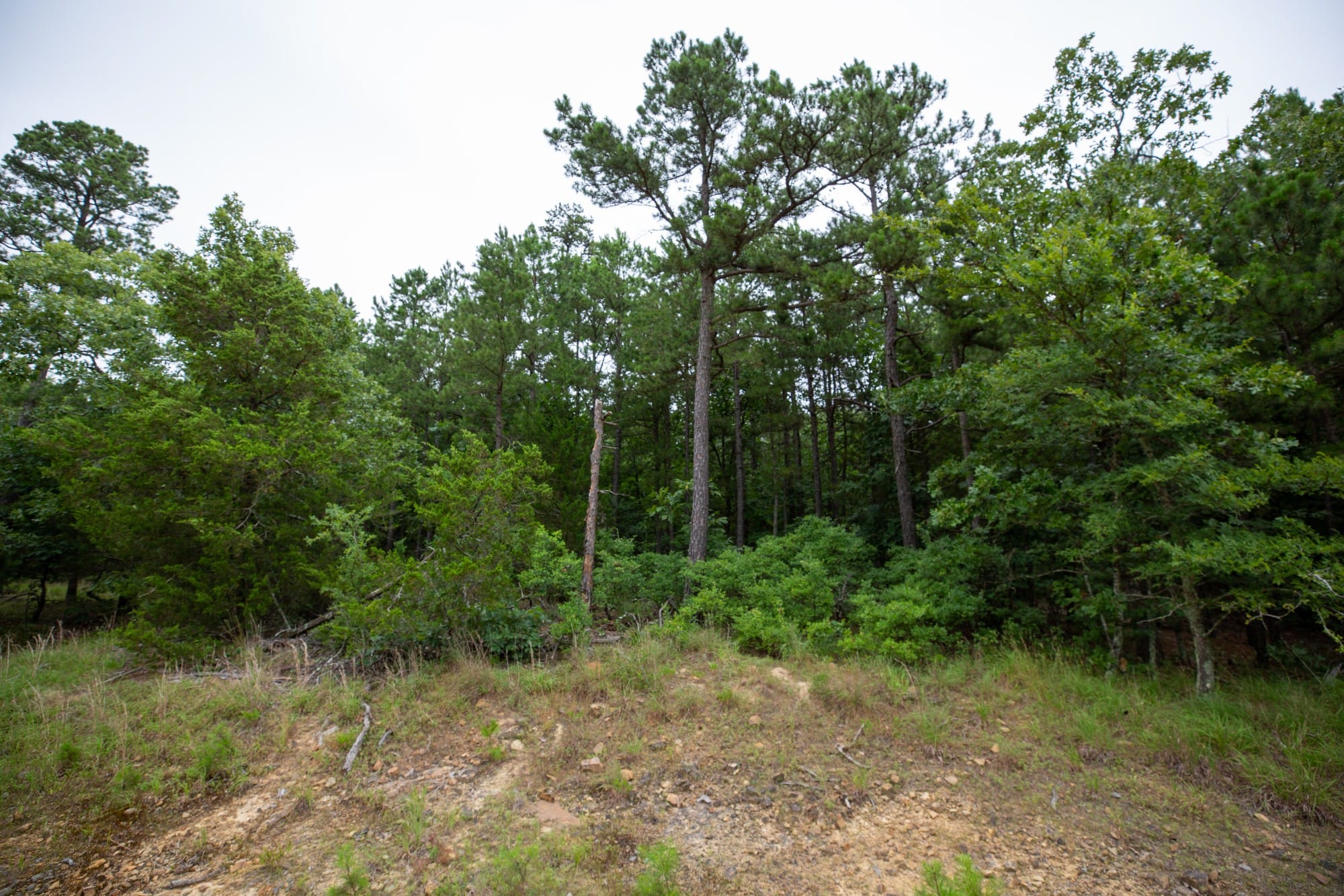 Eagle’s Nest Tract 70 photo 12