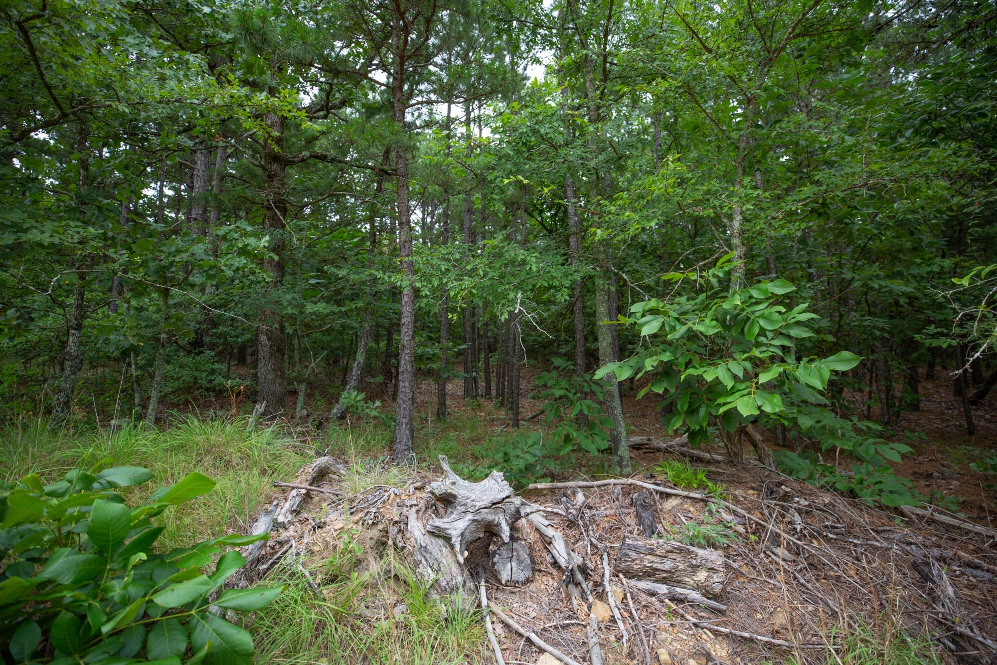 Eagle’s Nest Tract 70 photo 13