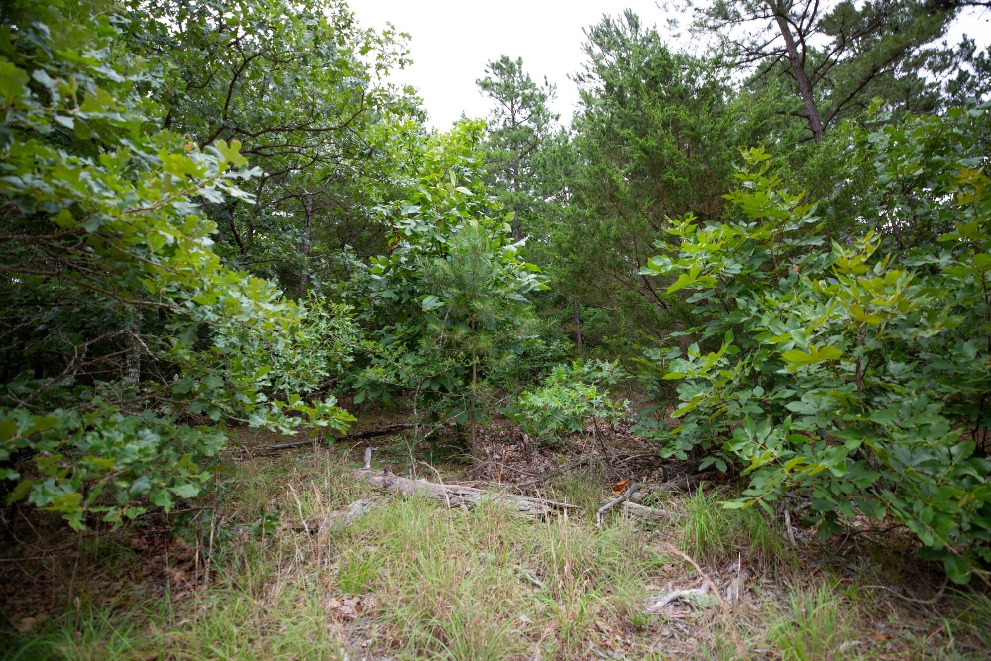 Eagle’s Nest Tract 70 photo 15