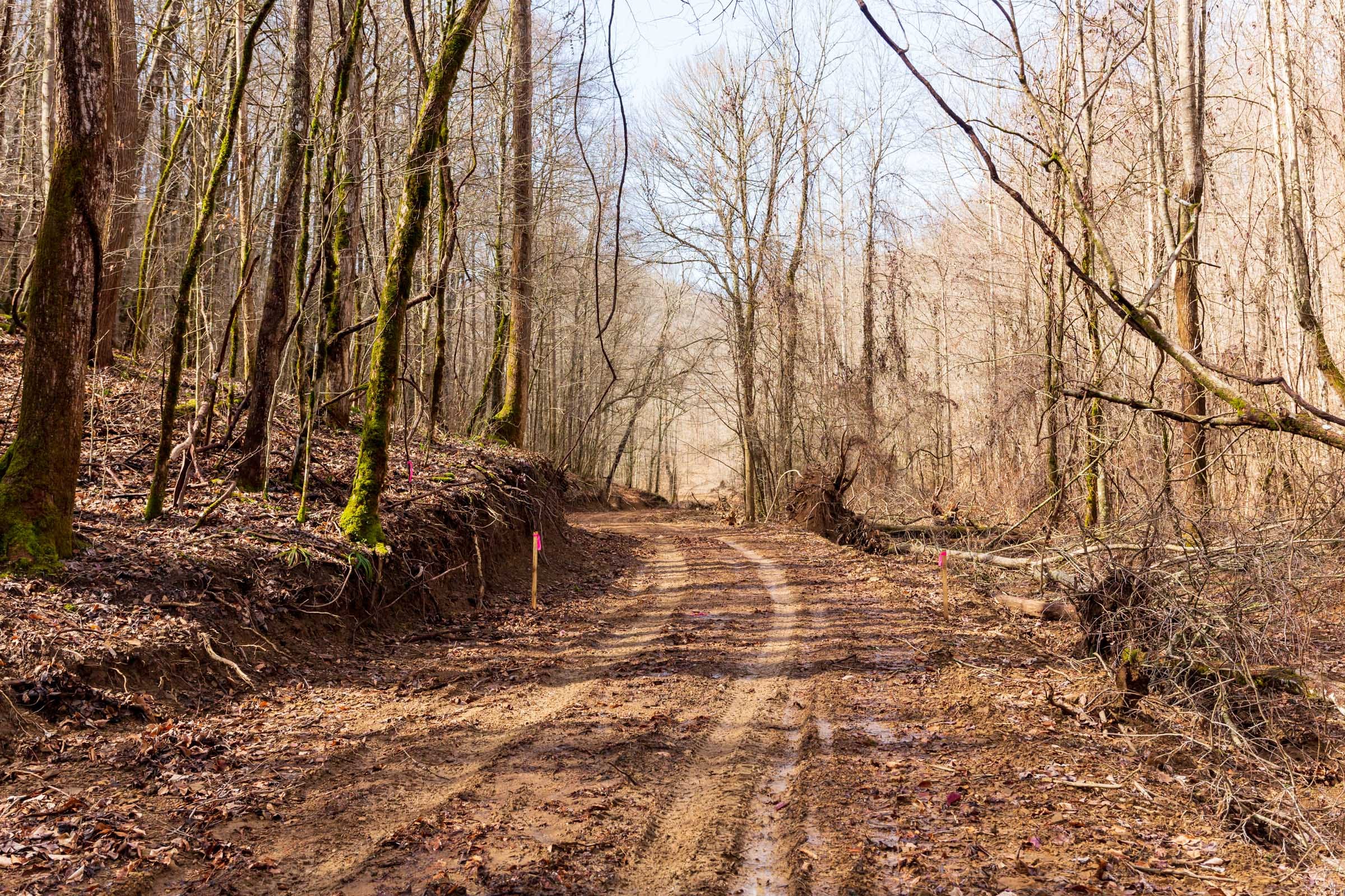 Blackstone Mountain Phase II Tract 71 photo 1