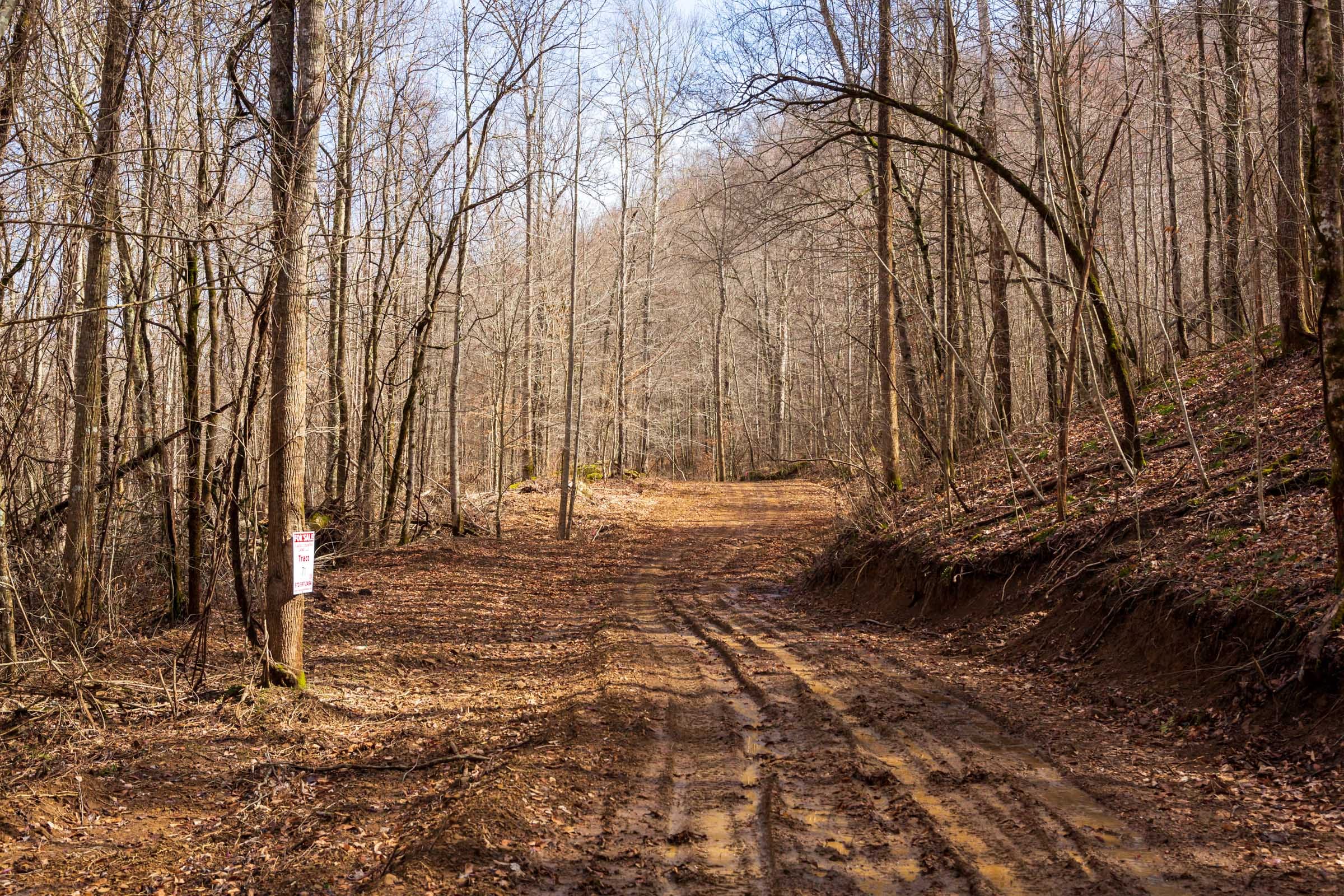 Blackstone Mountain Phase II Tract 71 photo 6