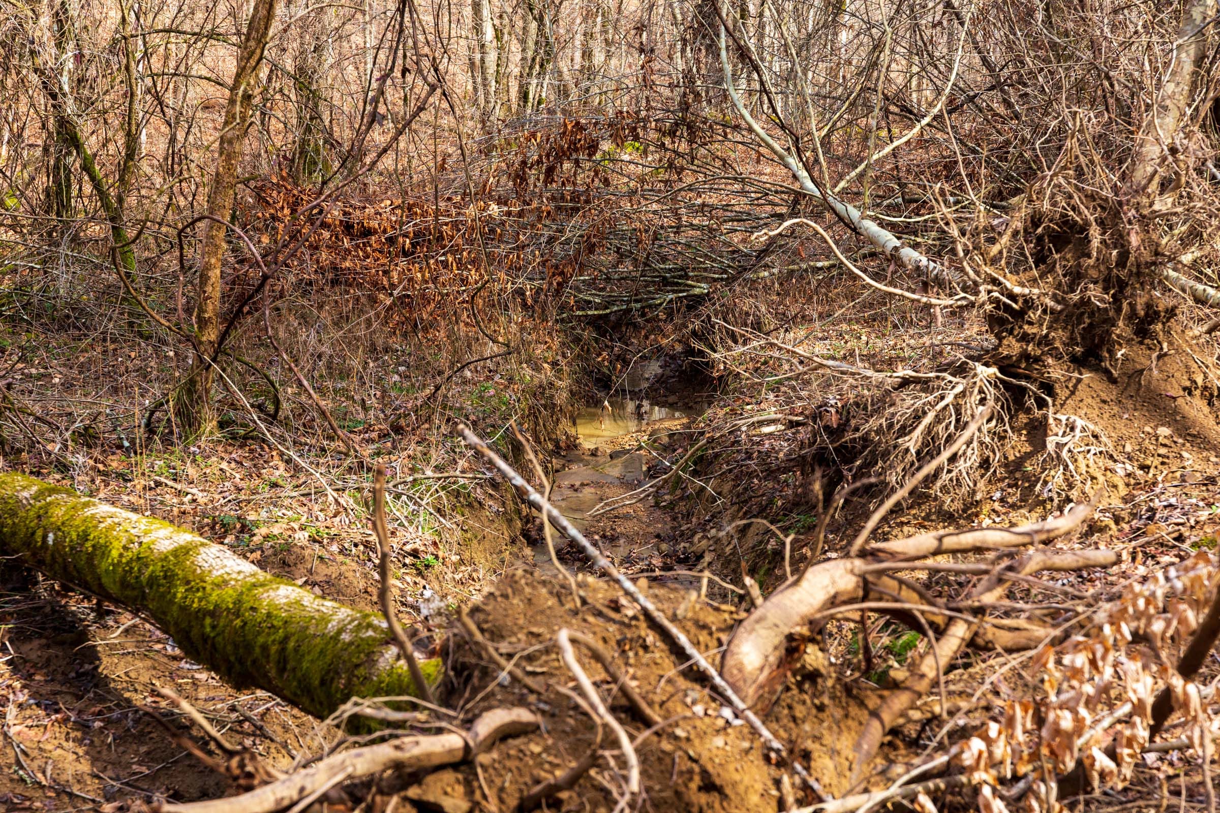 Blackstone Mountain Phase II Tract 71 photo 3