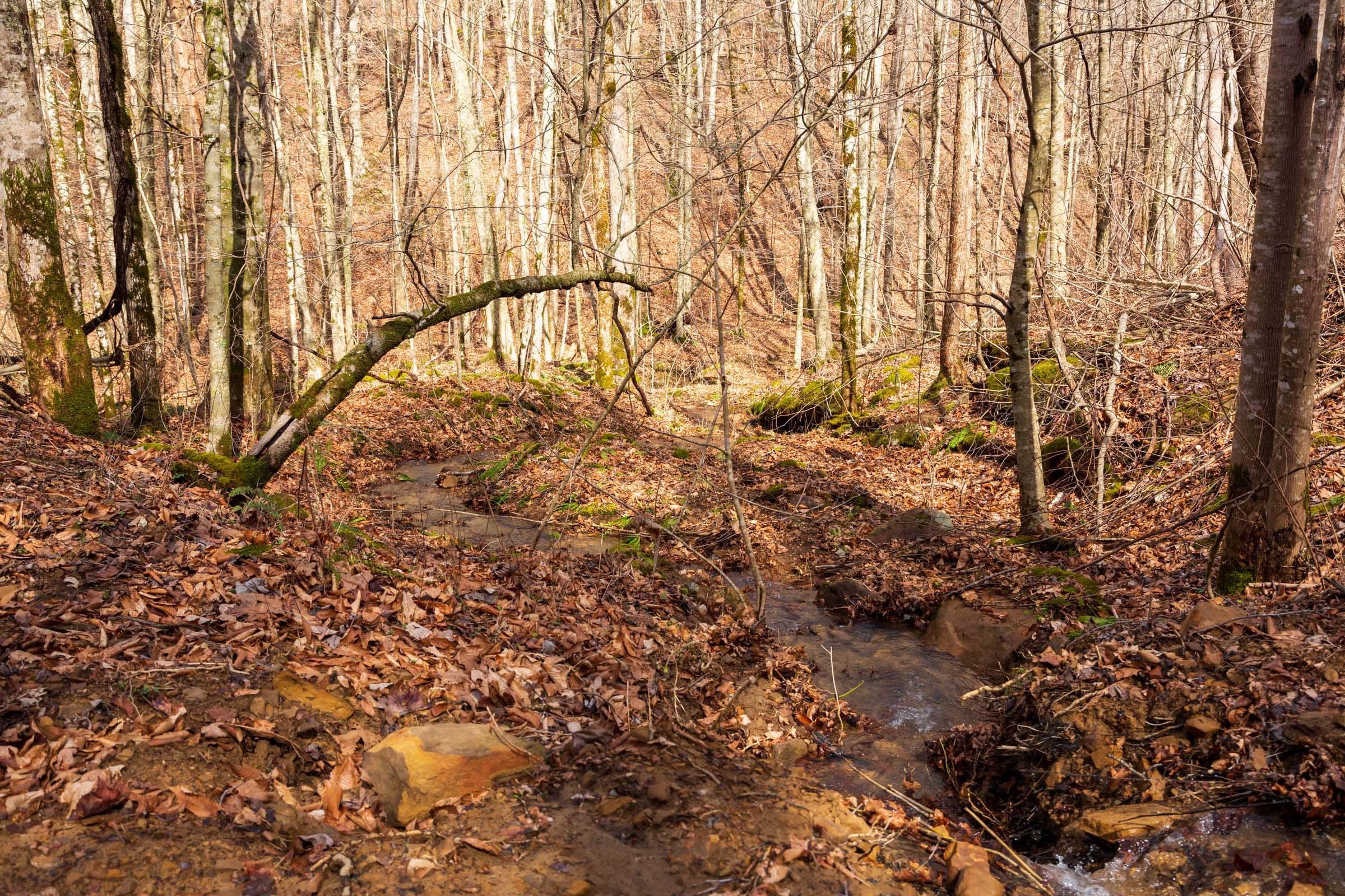 Blackstone Mountain Phase II Tract 71 photo 2