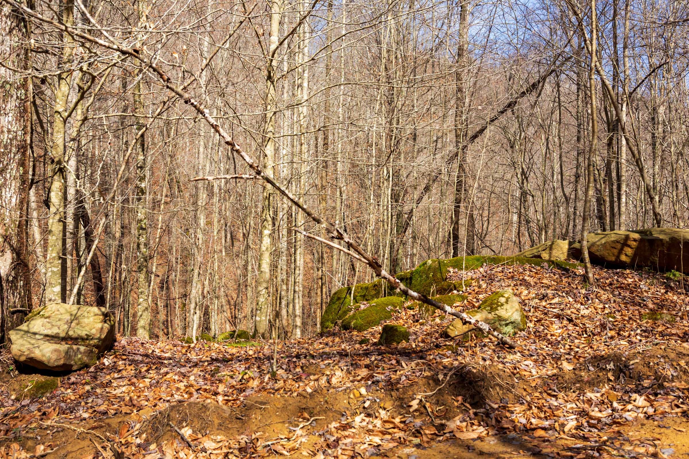 Blackstone Mountain Phase II Tract 71 photo 5