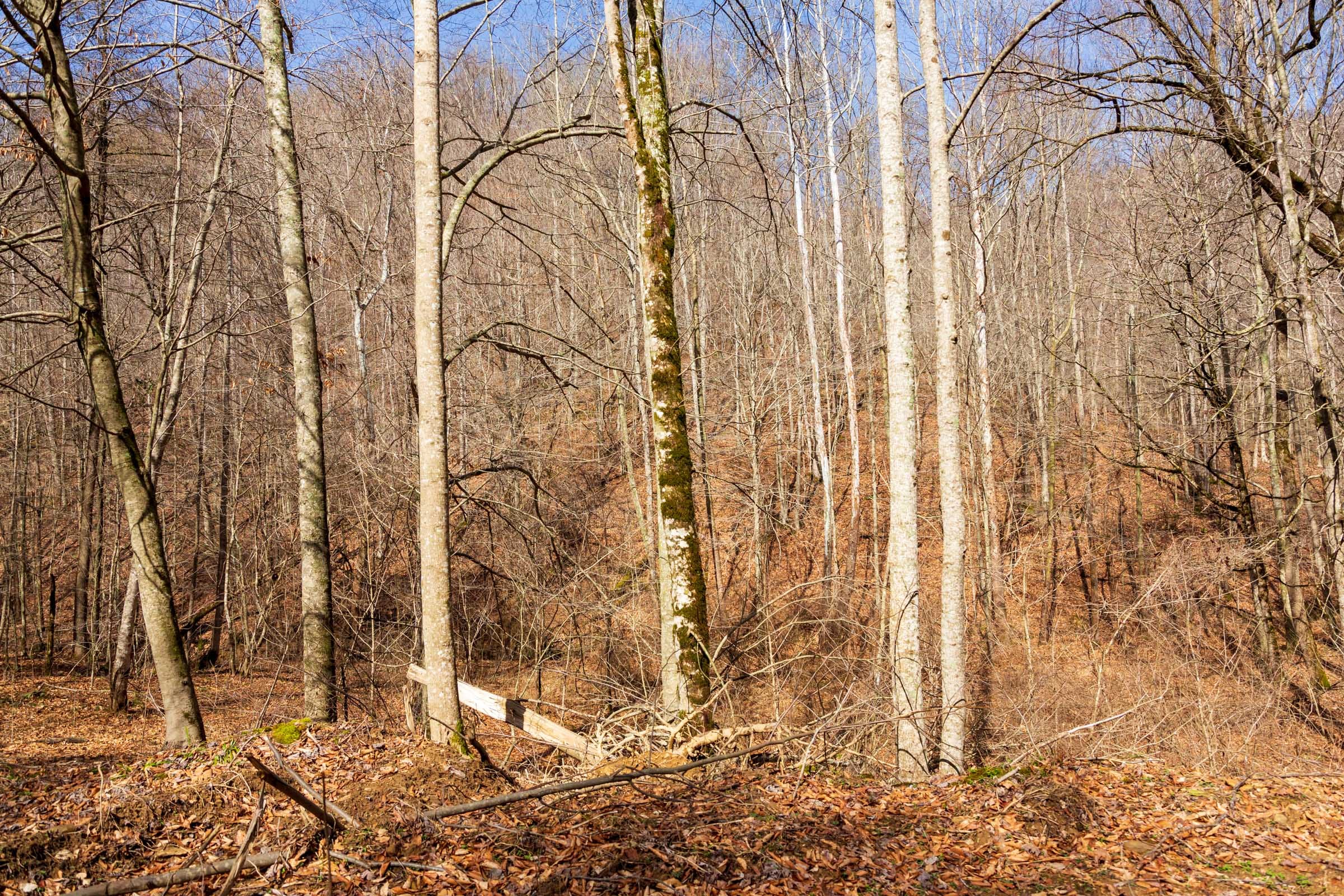 Blackstone Mountain Phase II Tract 71 photo 9