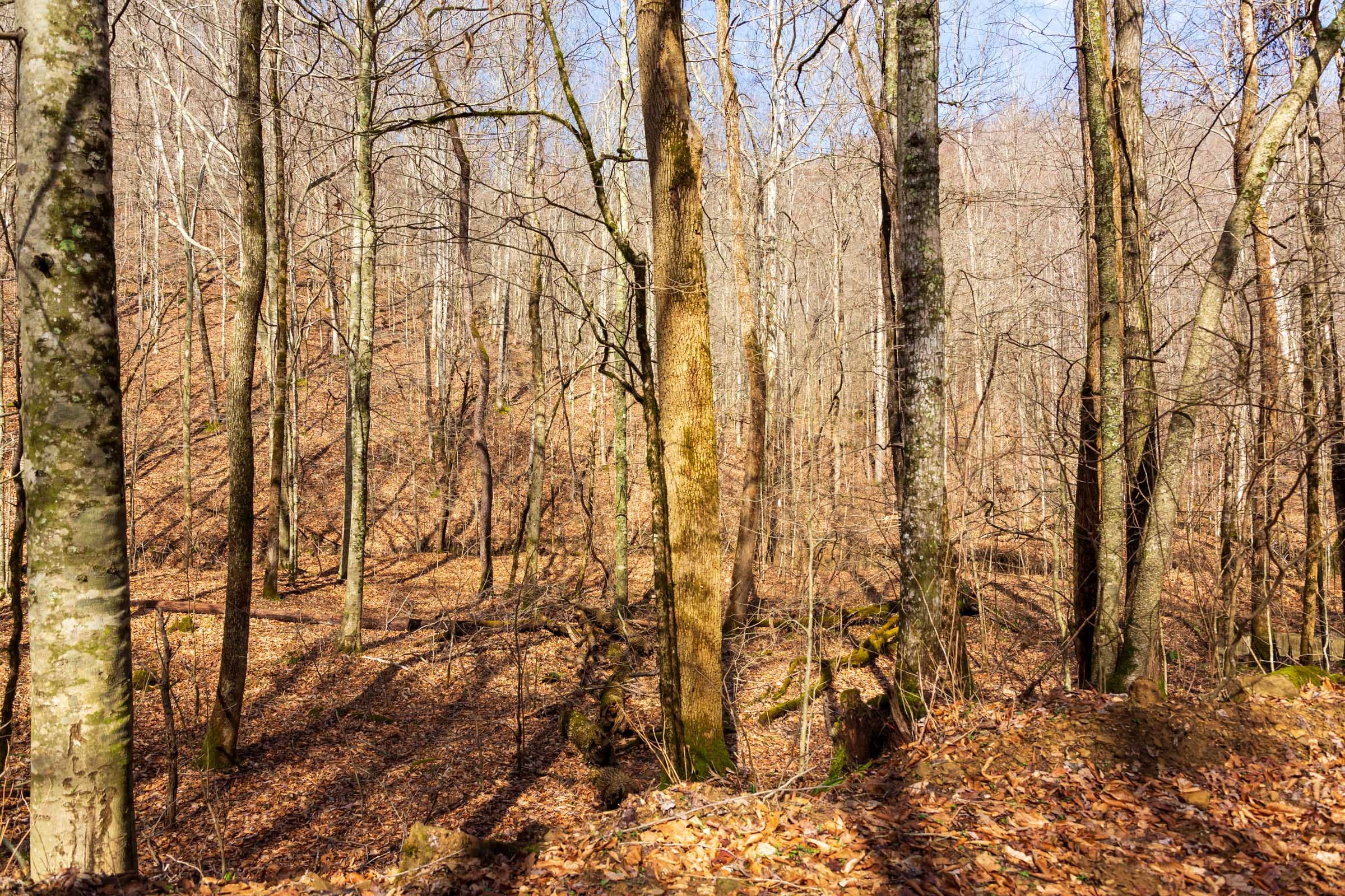 Blackstone Mountain Phase II Tract 71 photo 12