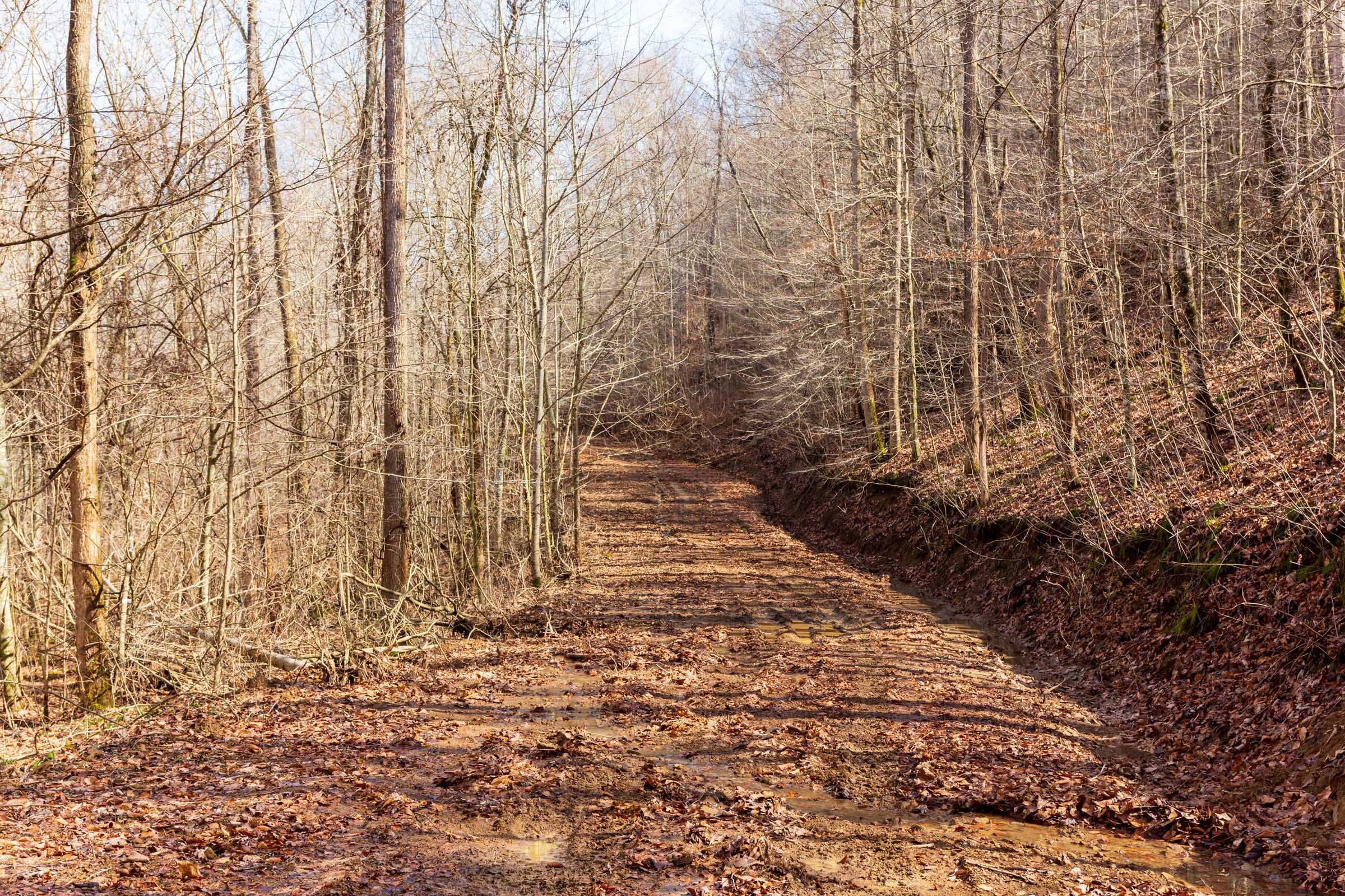 Blackstone Mountain Phase II Tract 71 photo 10