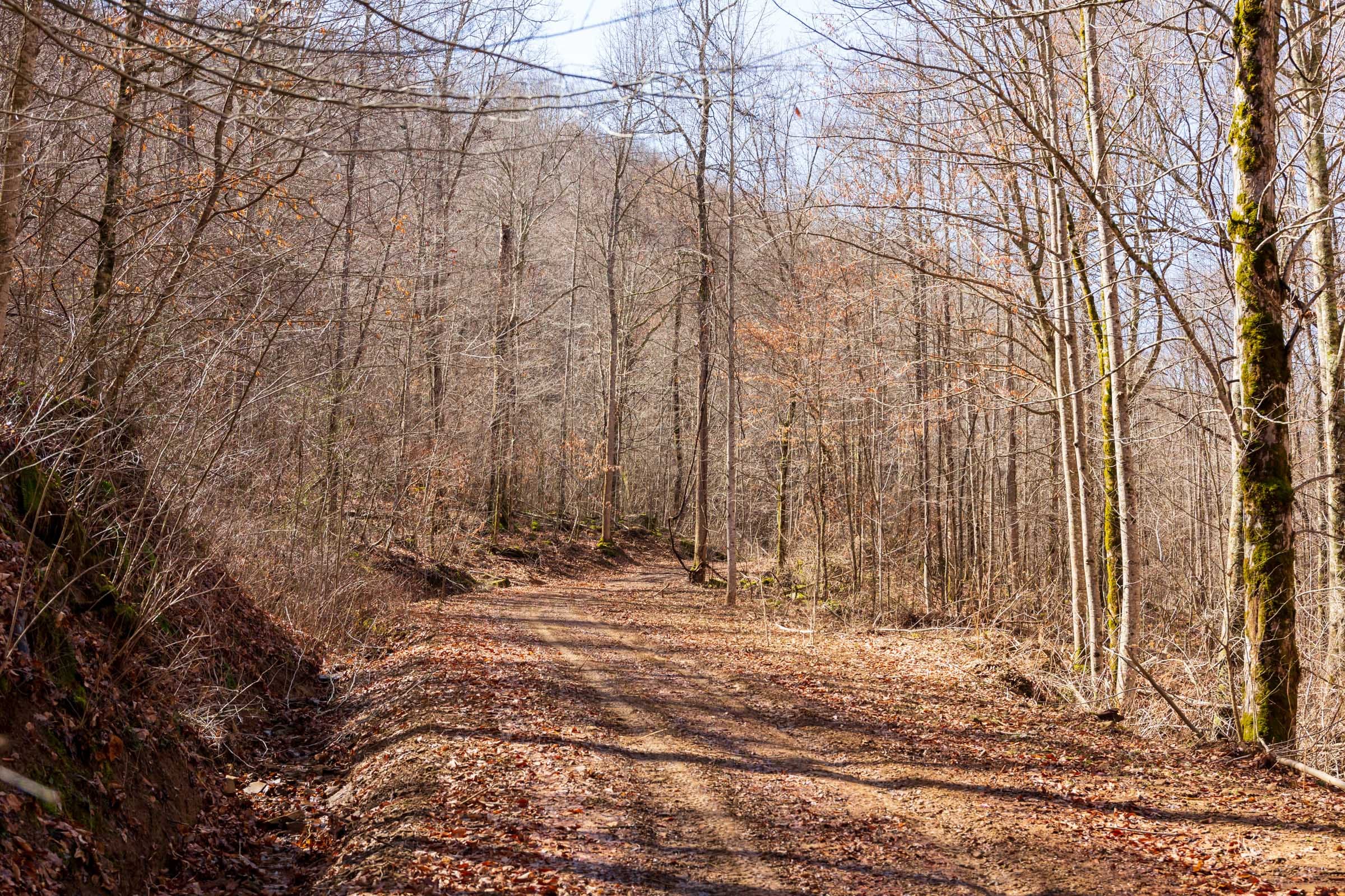 Blackstone Mountain Phase II Tract 71 photo 13