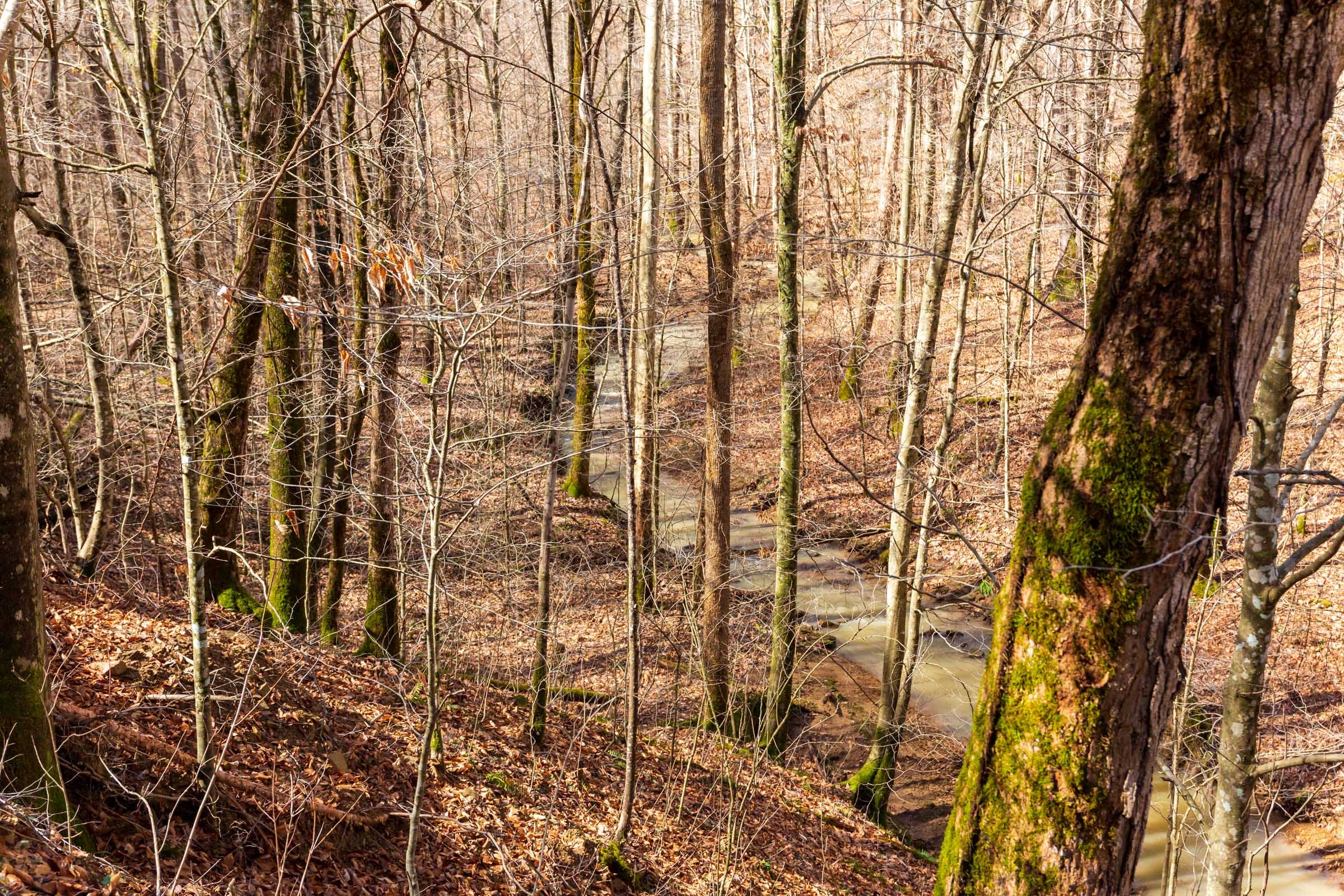 Blackstone Mountain Phase II Tract 71 photo 14