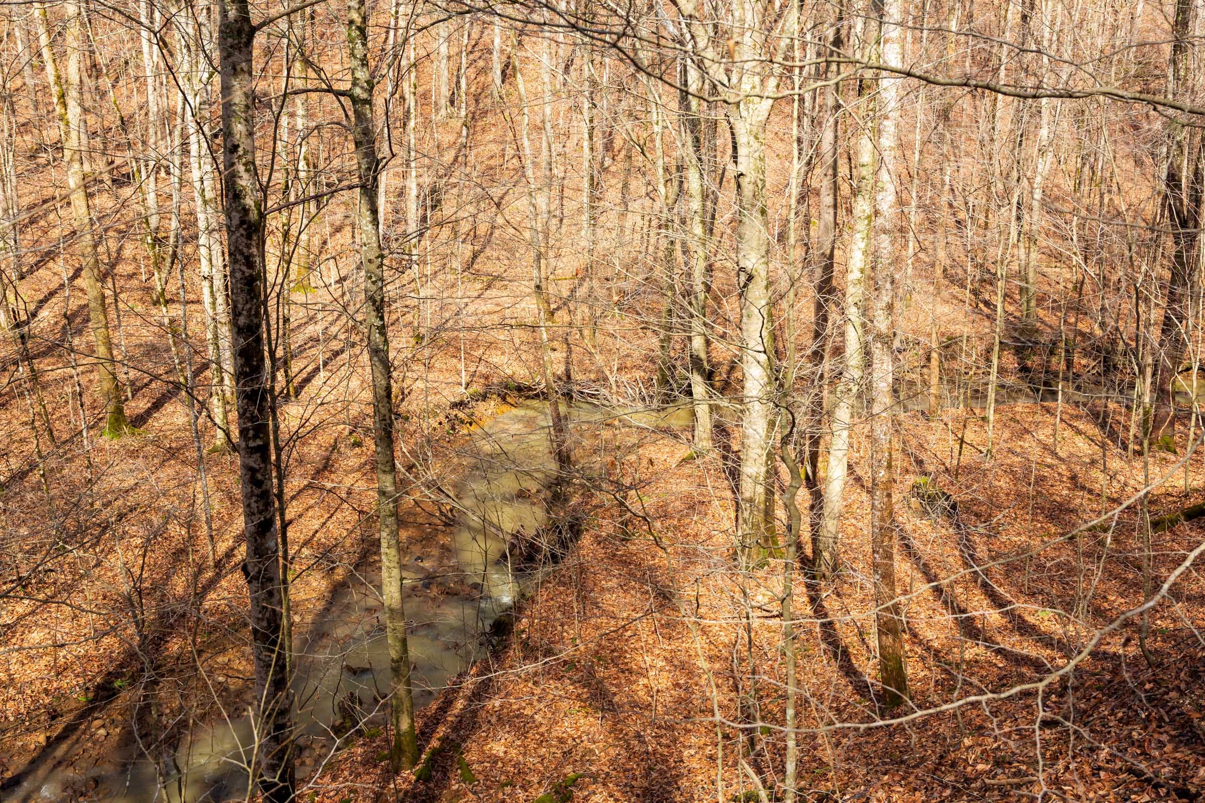 Blackstone Mountain Phase II Tract 71 photo 15