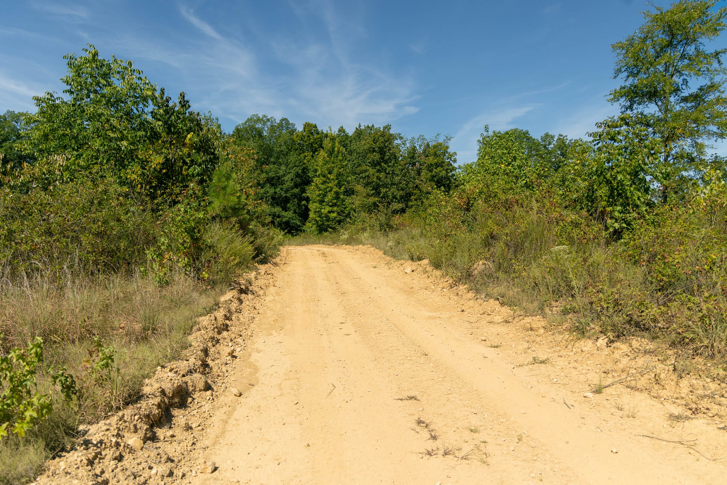 Big White Oak Tract 52 photo 2