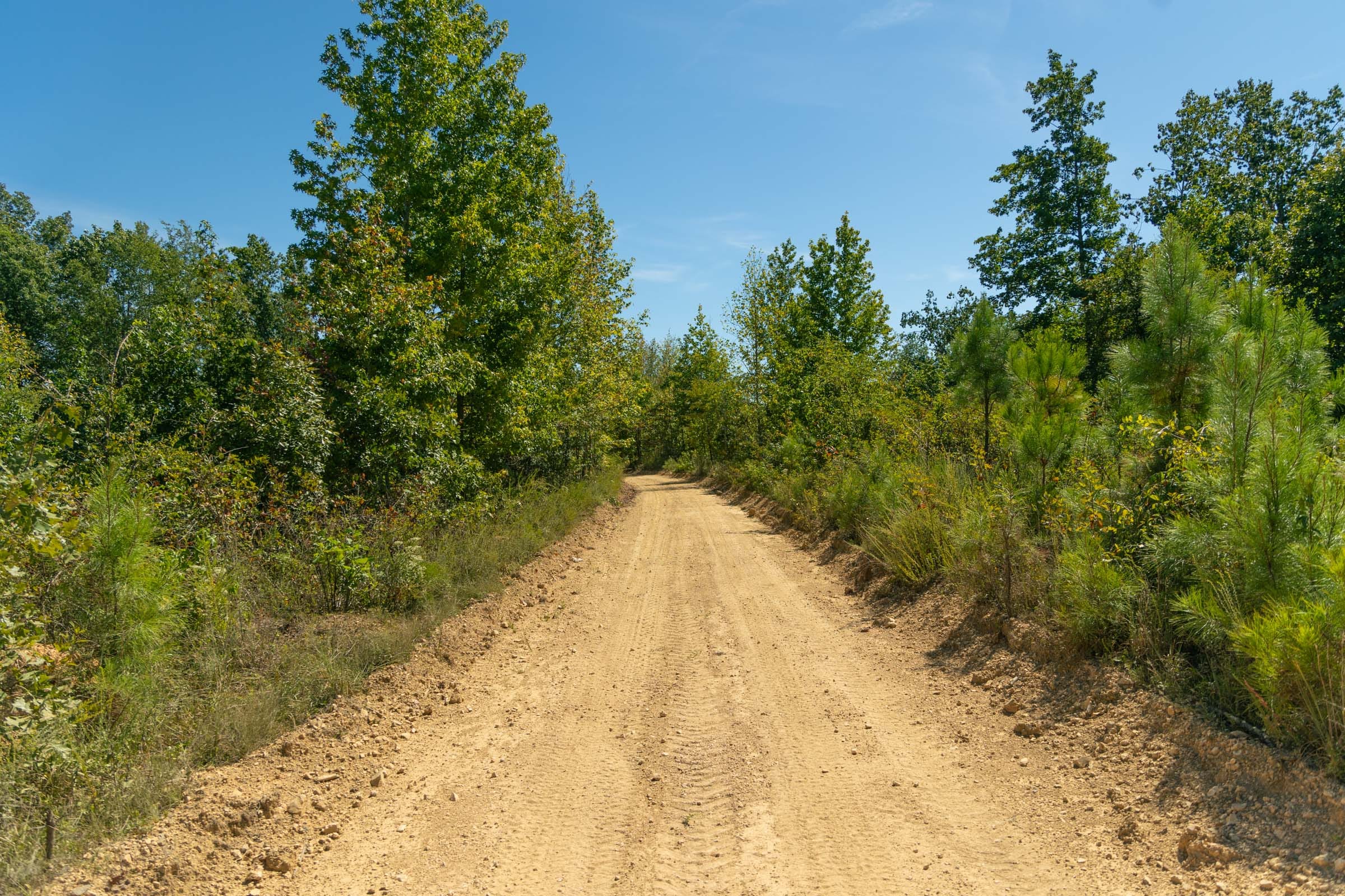 Big White Oak Tract 52 photo 8