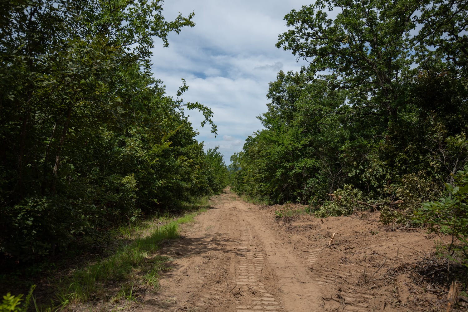 Timber Ridge Tract 44 photo 1