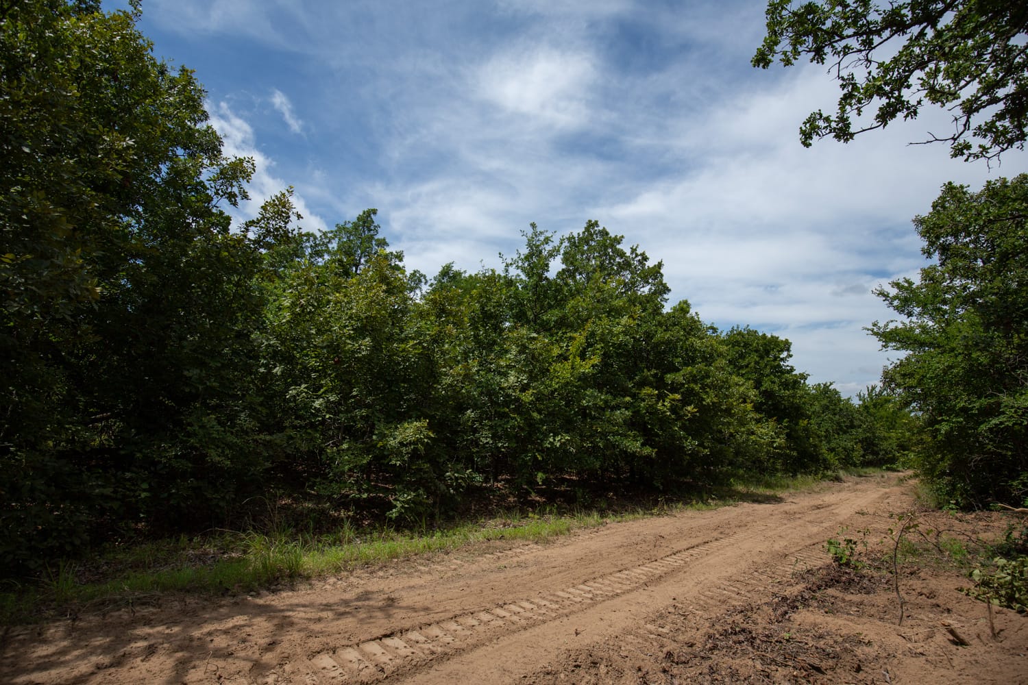 Timber Ridge Tract 44 photo 3