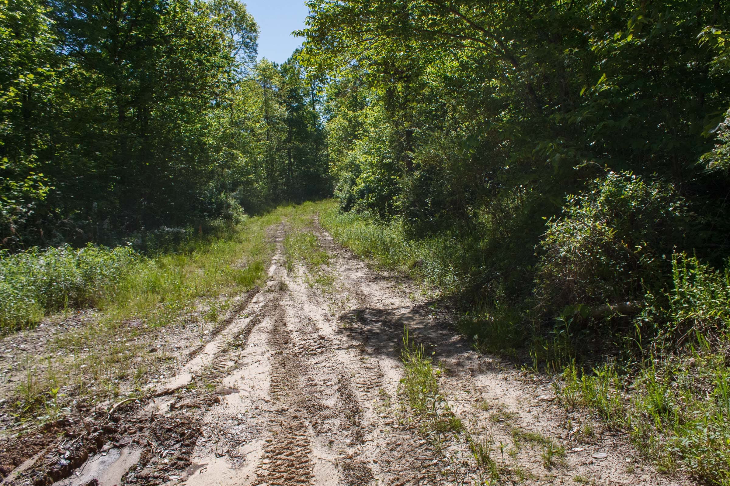 Riverbend Tract 32 photo 6