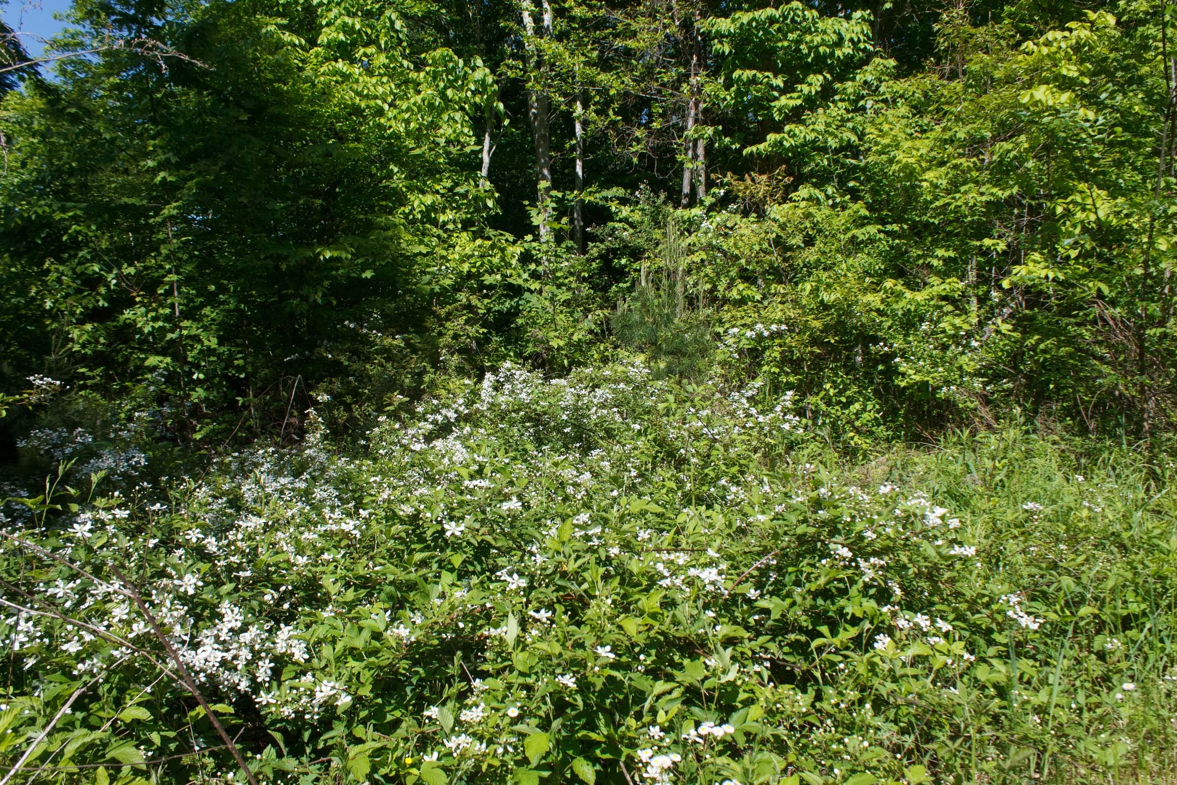 Riverbend Tract 32 photo 7