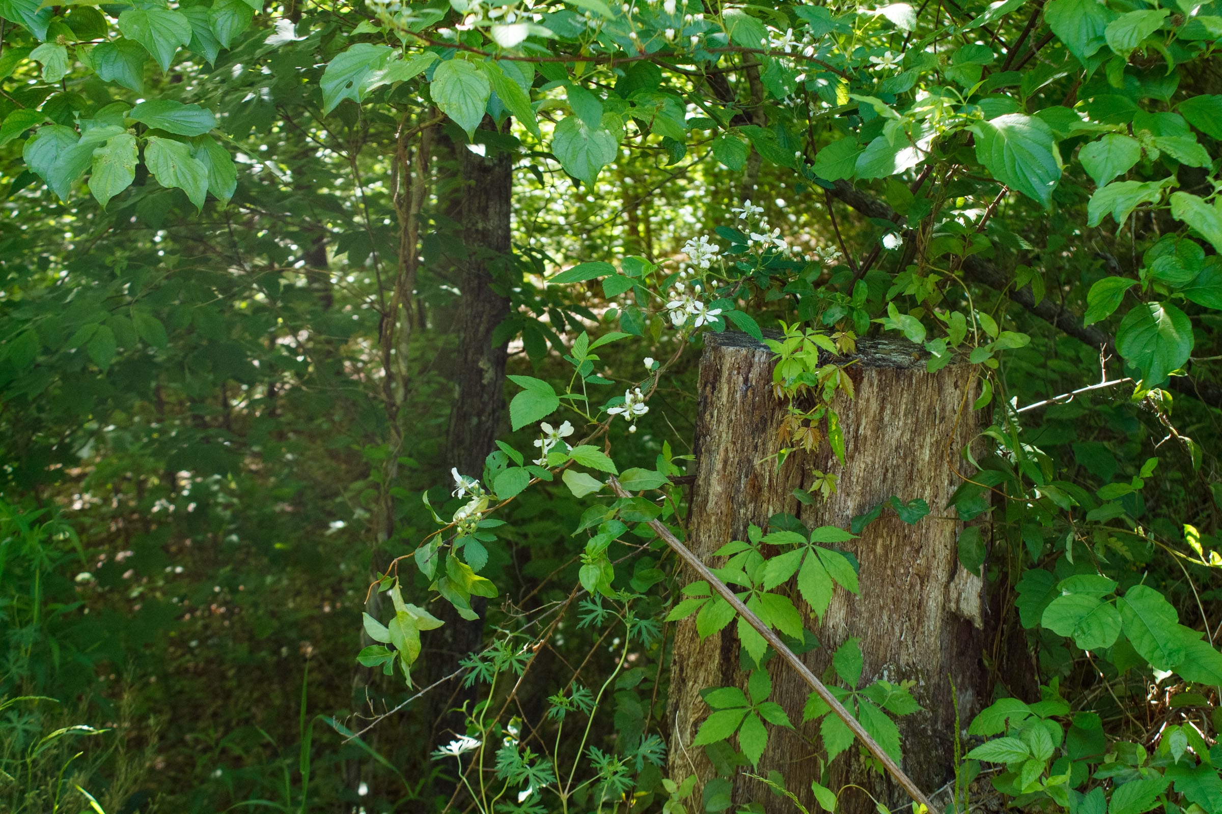 Riverbend Tract 32 photo 9