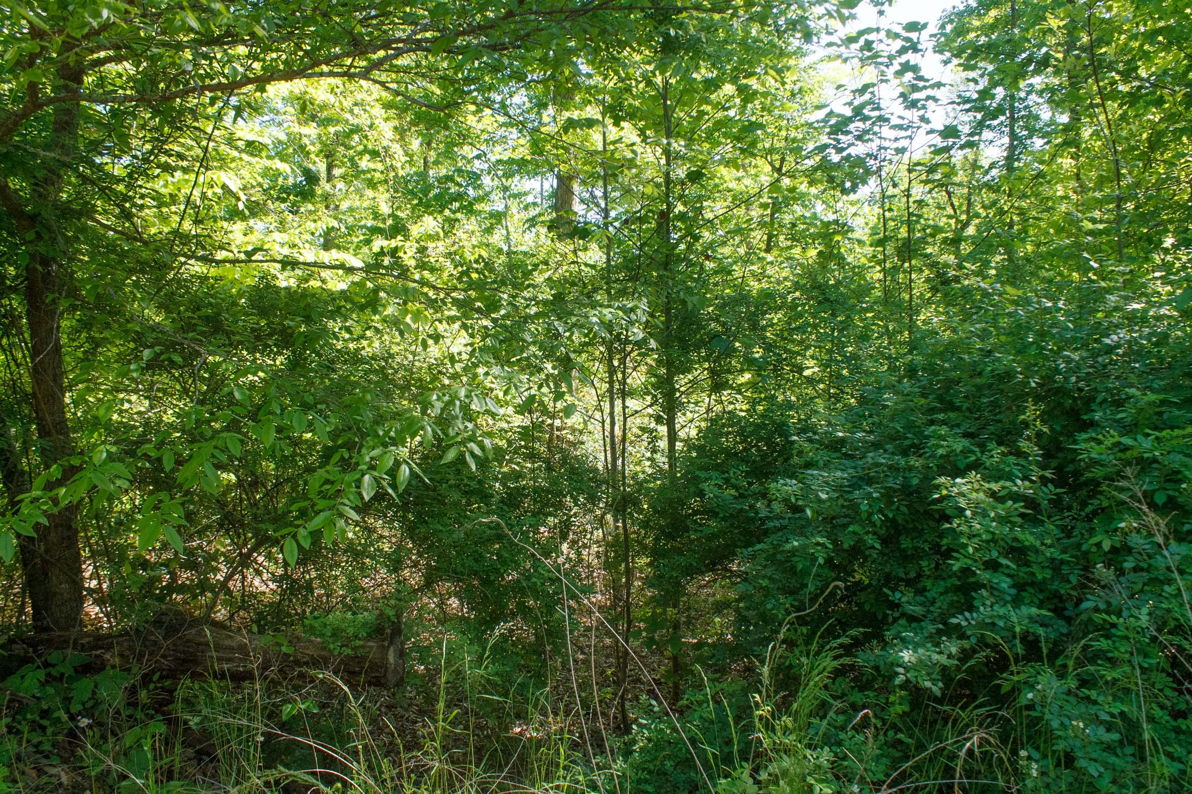 Riverbend Tract 32 photo 12
