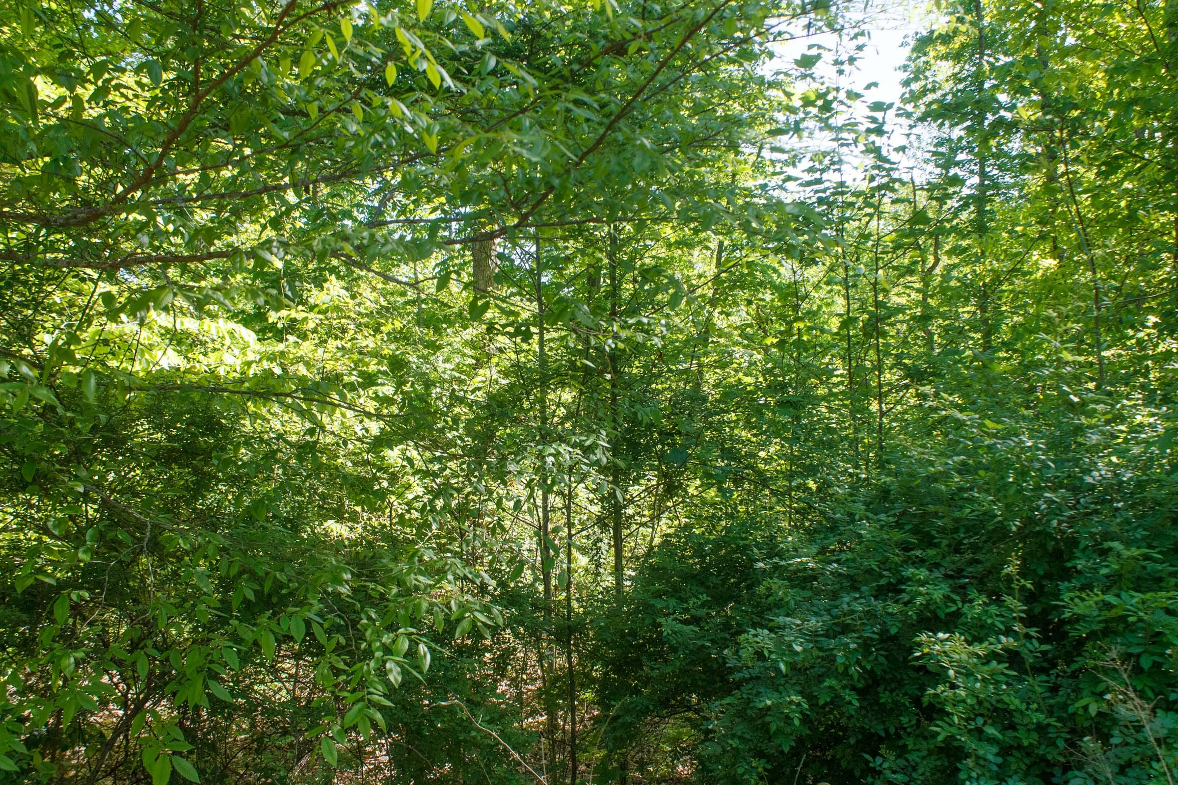 Riverbend Tract 32 photo 13