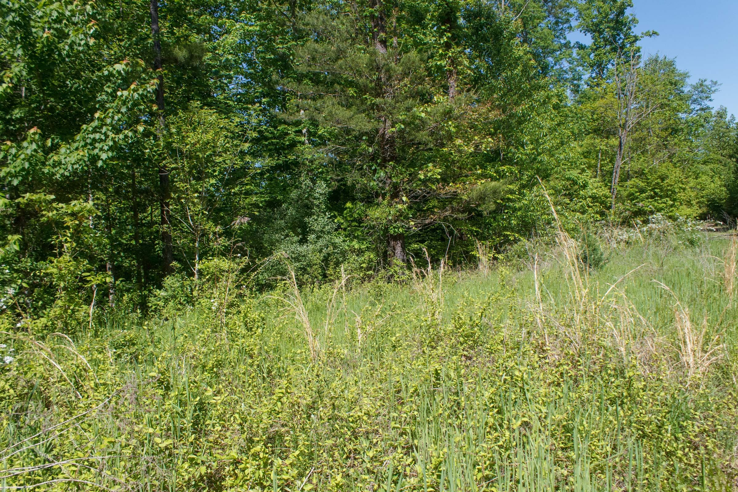 Riverbend Tract 32 photo 14